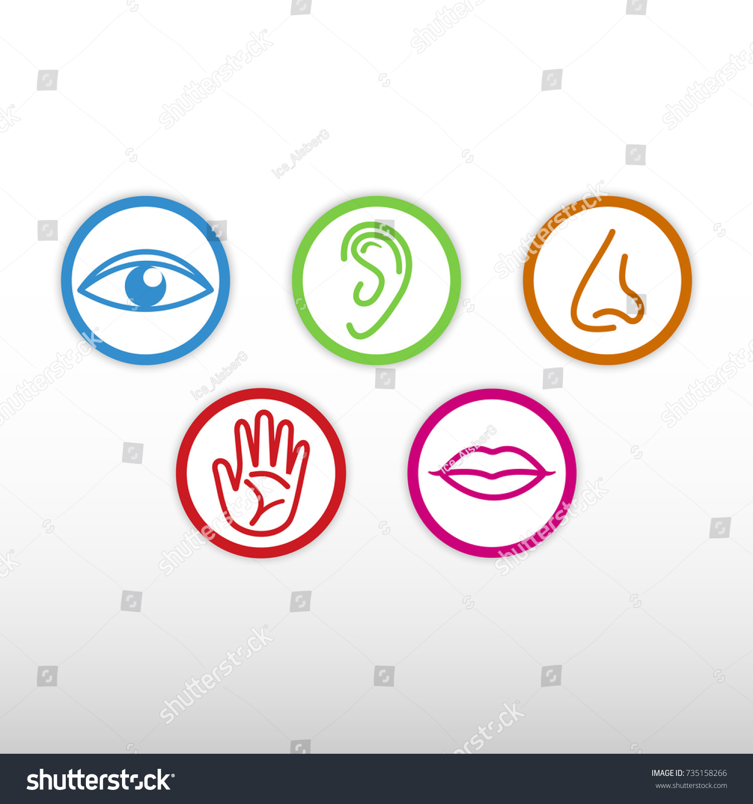 Five Senses Icon Stock Vector (Royalty Free) 735158266 | Shutterstock