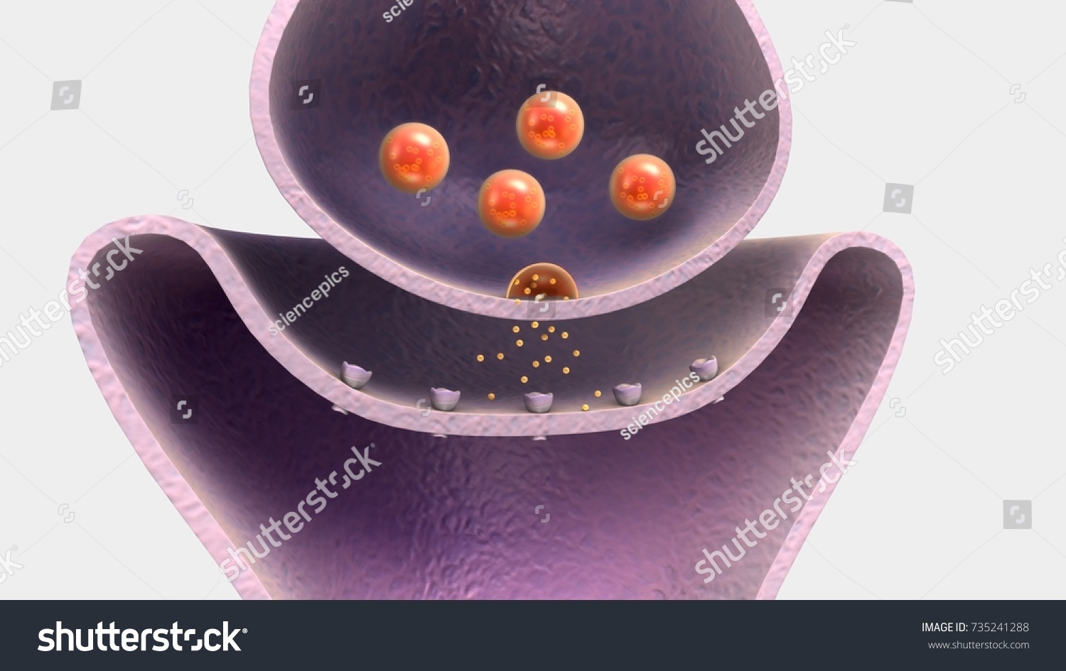 Neurotransmitter 3d Illustration Stock Illustration 735241288 ...