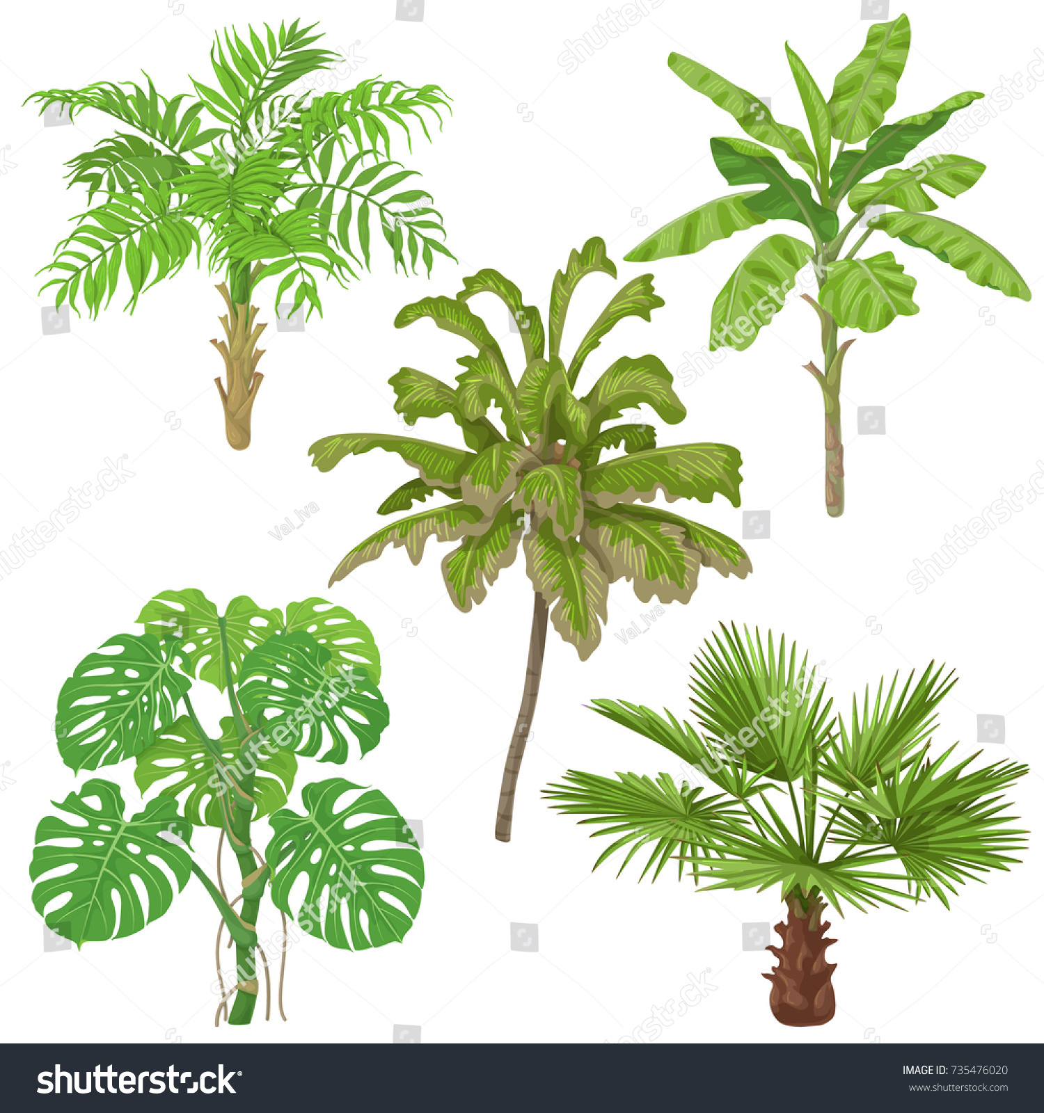 Tropical Plants Set Palm Trees Banana Stock Vector (royalty Free 