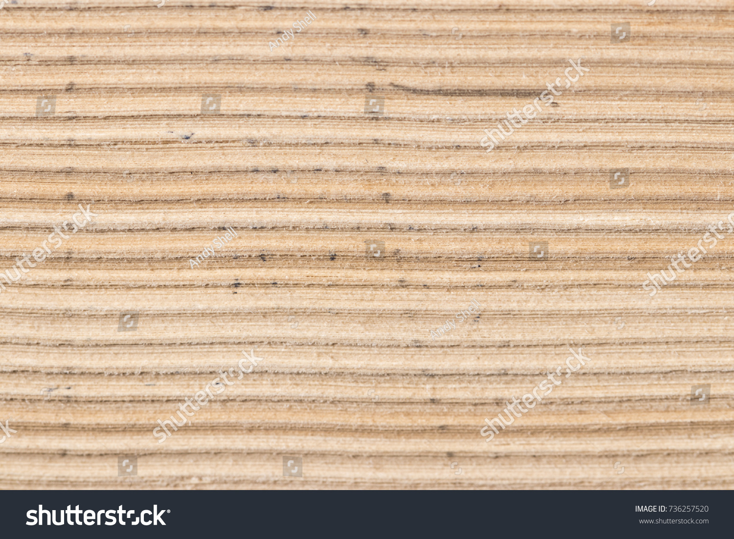 Antique Book Side View Texture Horizontal Stock Photo 736257520 ...