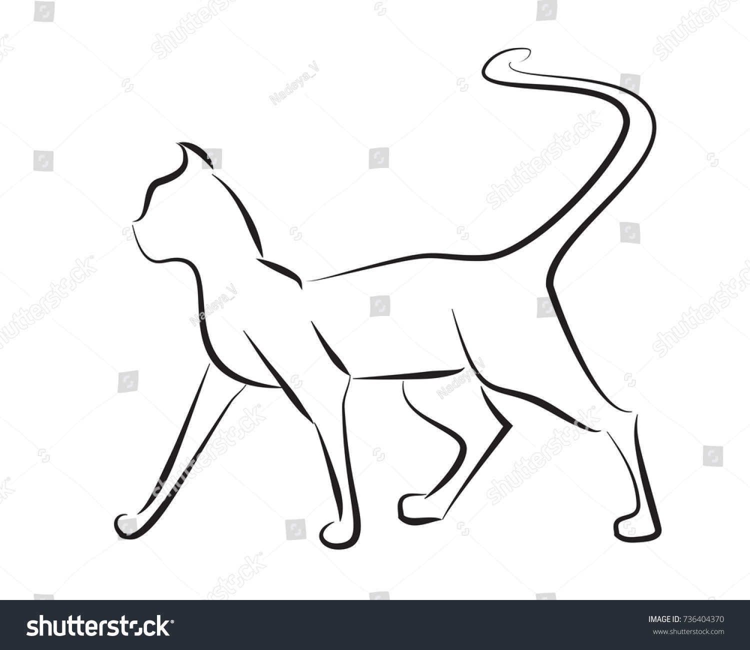 Black Line Cat On White Background Stock Vector (royalty Free 