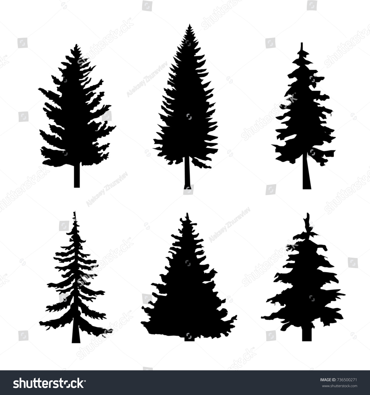 Set Black Silhouettes Pine Trees On Stock Illustration 736500271 ...