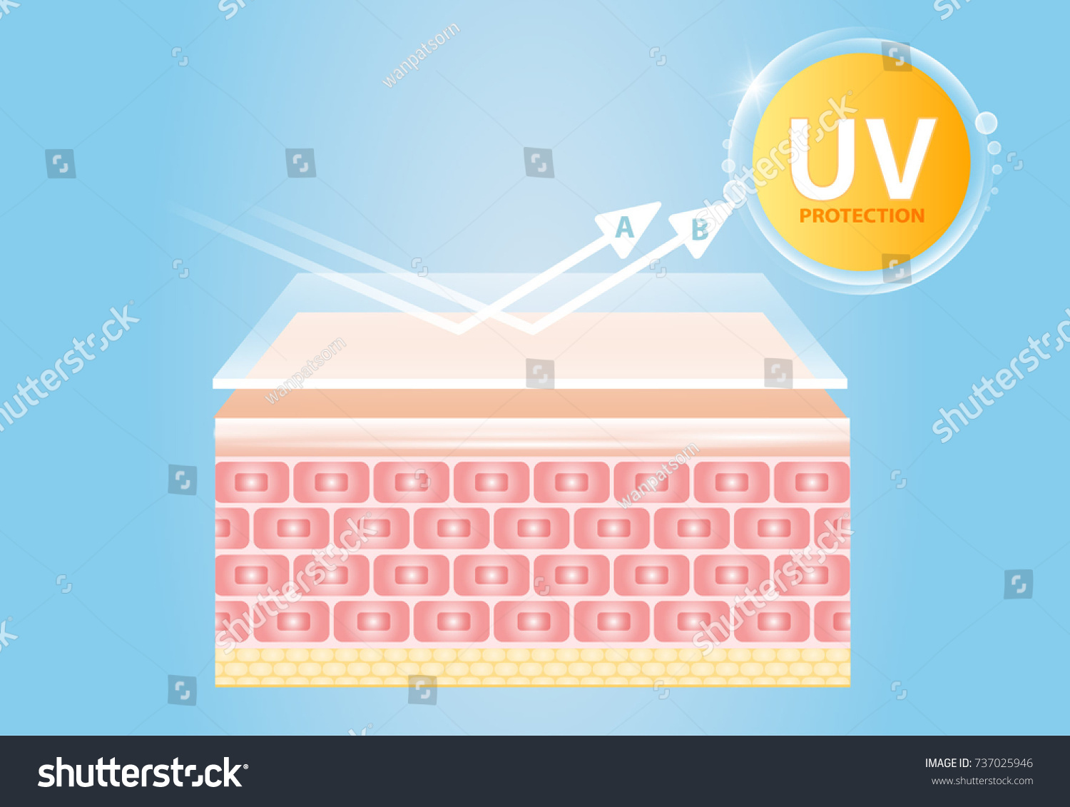 Uv Reflection Skin After Protection Vector Stock Vector (Royalty Free ...