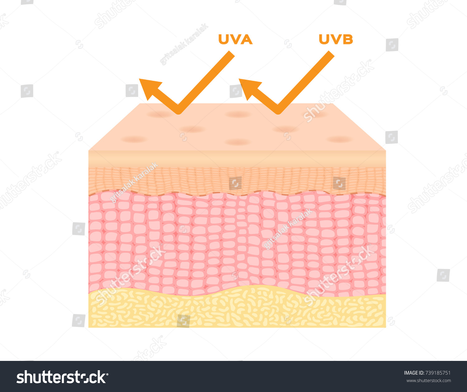 Uv Protection Vector Ultraviolet Reflect By Stock Vector (Royalty Free ...