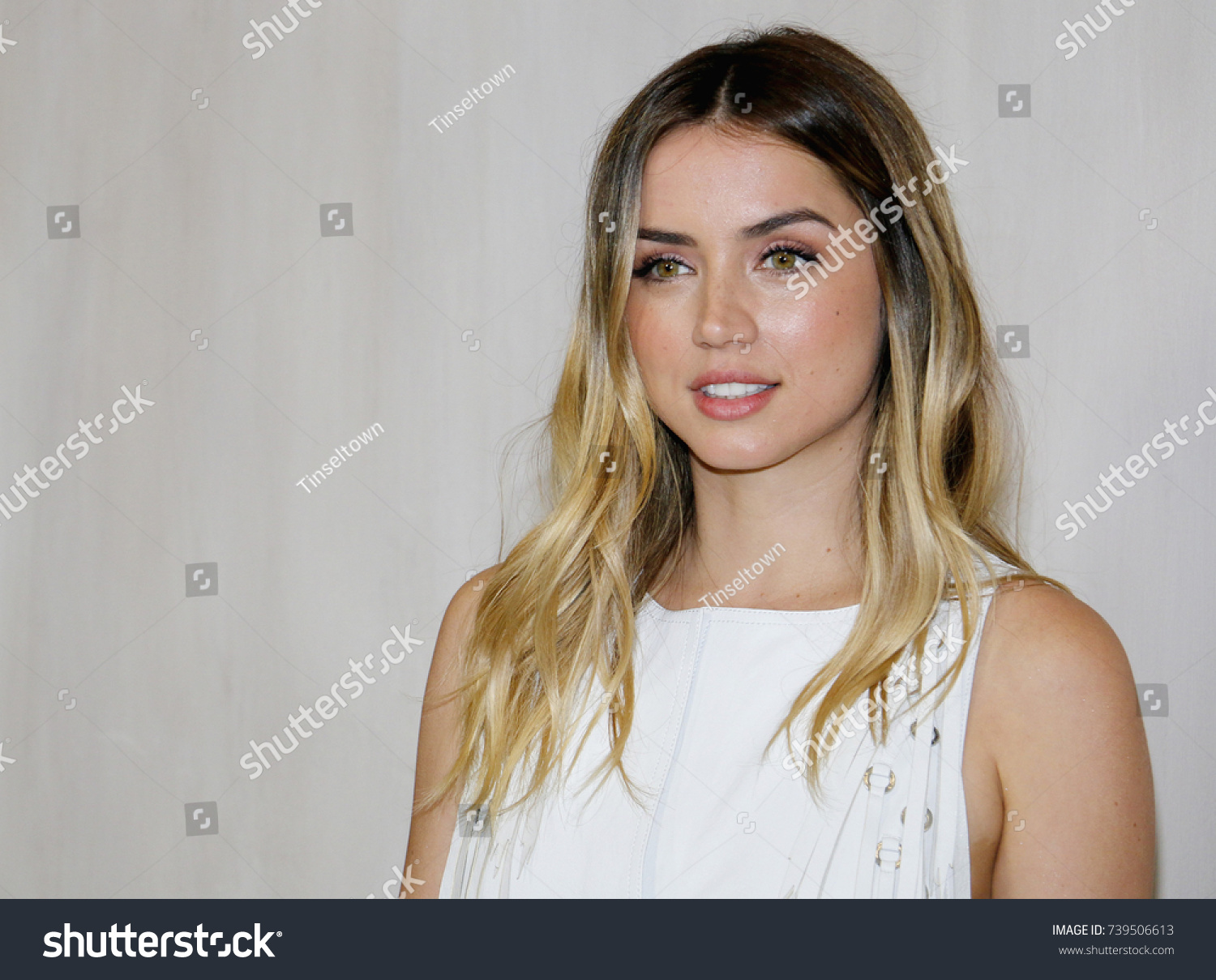 Ana De Armas Hammer Museum Gala Stock Photo 739506613 | Shutterstock