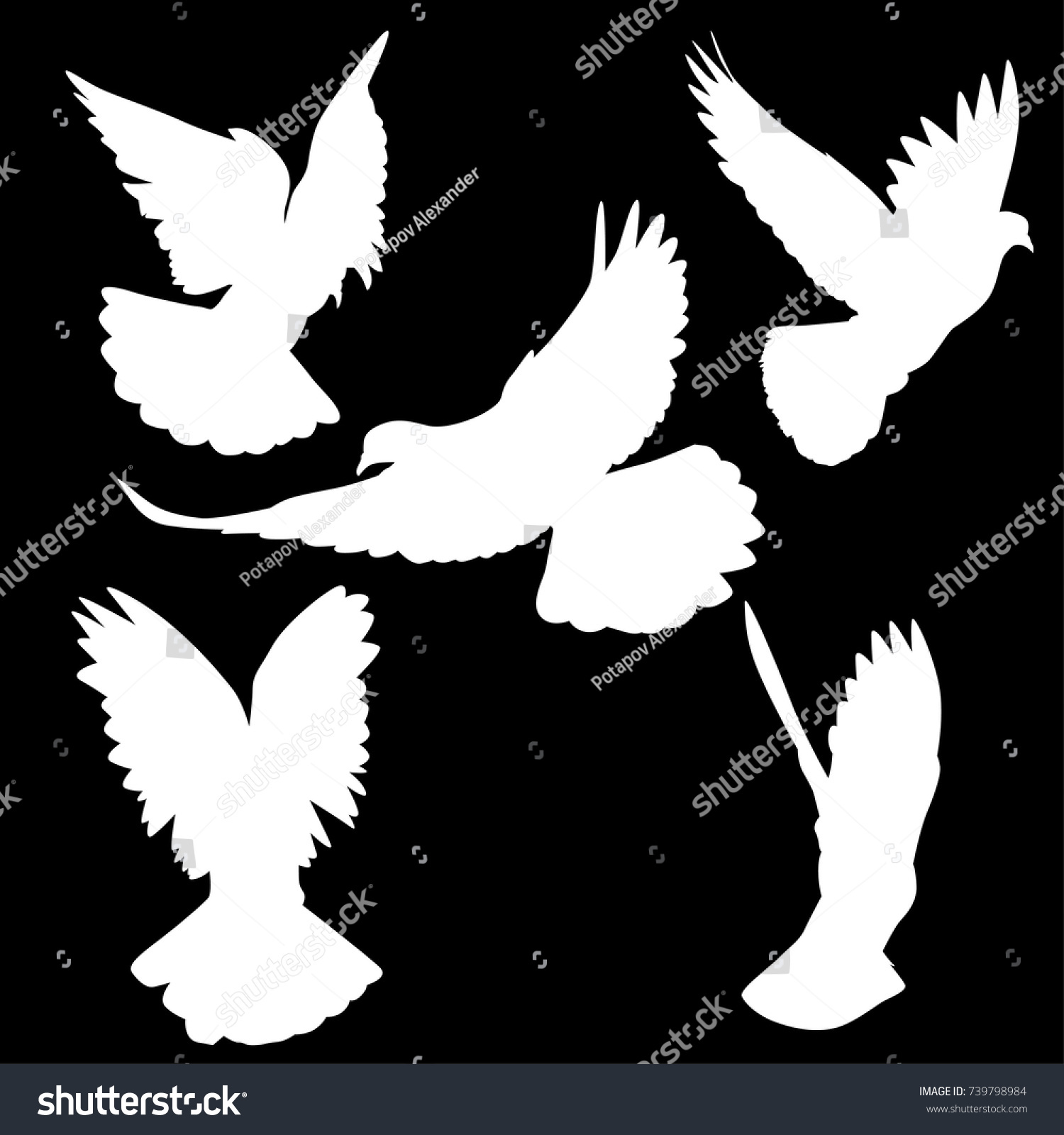 Illustration Pigeon Silhouettes Isolated On Black Stock Vector (Royalty ...