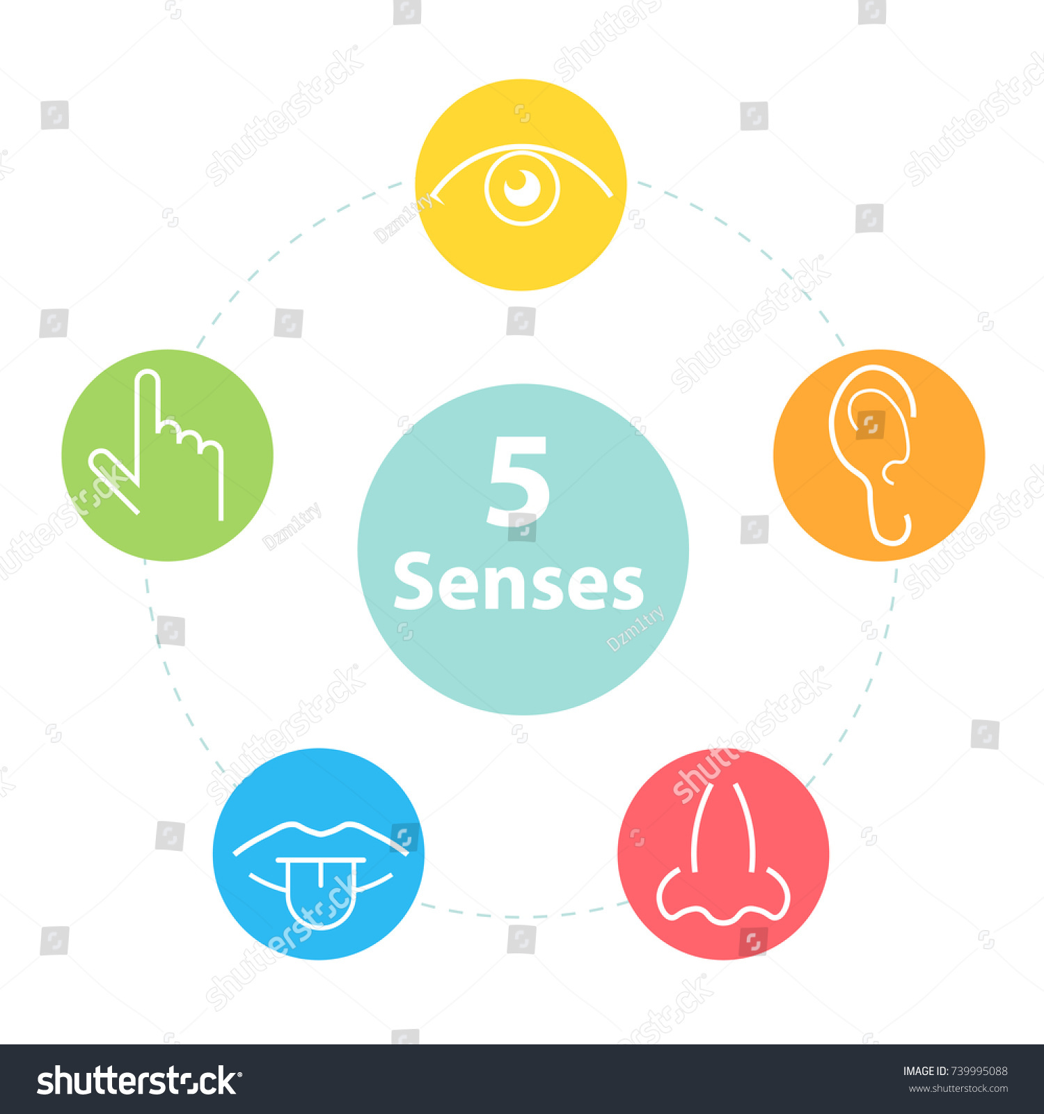 Five Senses Simple Icons Vector Illustration Stock Vector (Royalty Free ...