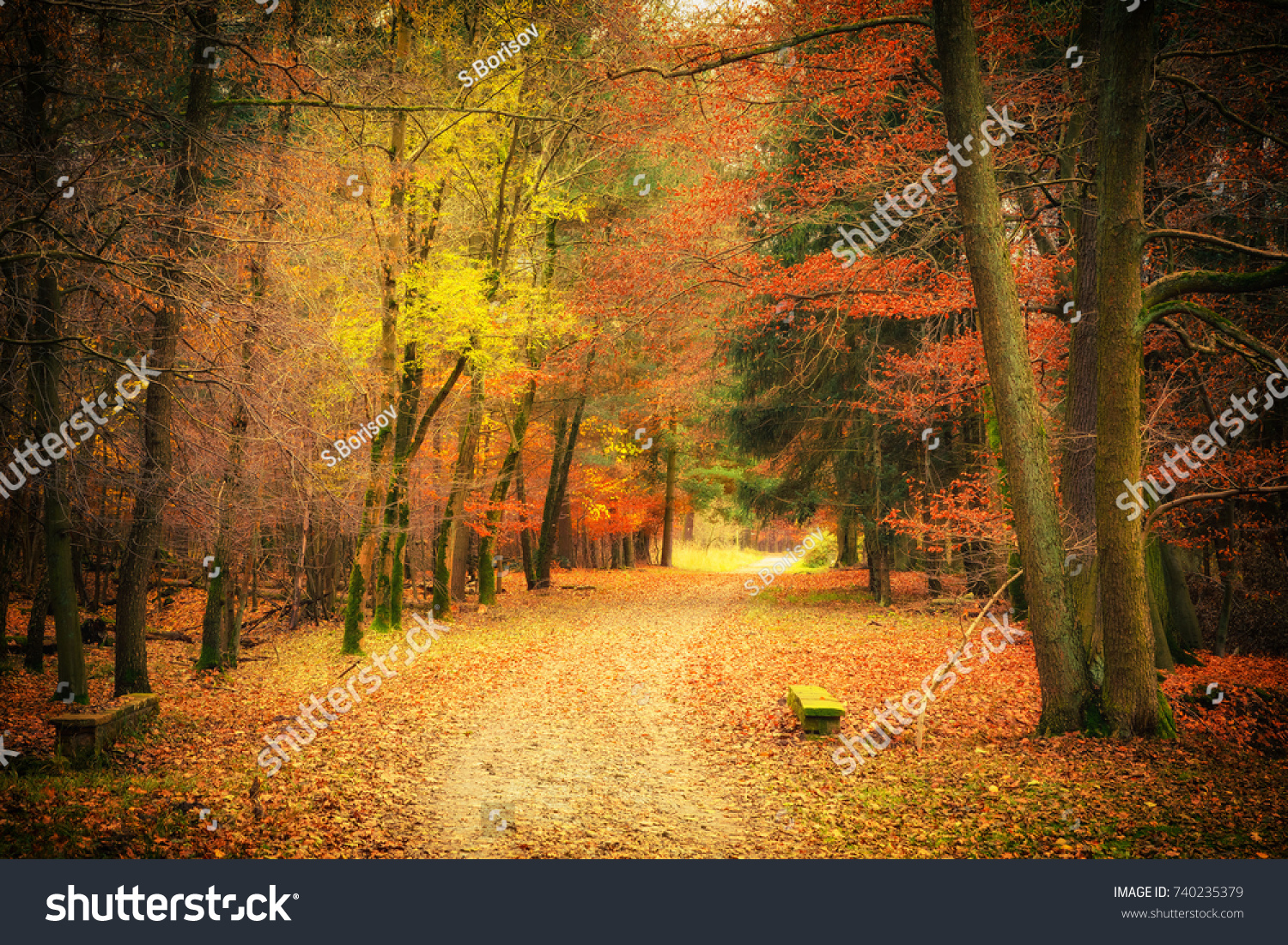 Pathway Bright Autumn Park Stock Photo 740235379 | Shutterstock