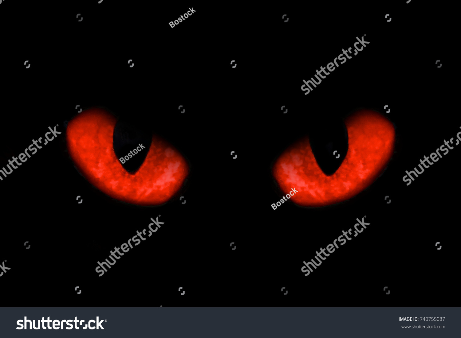 Halloween Red Eyes On Black Background Stock Photo 740755087 | Shutterstock