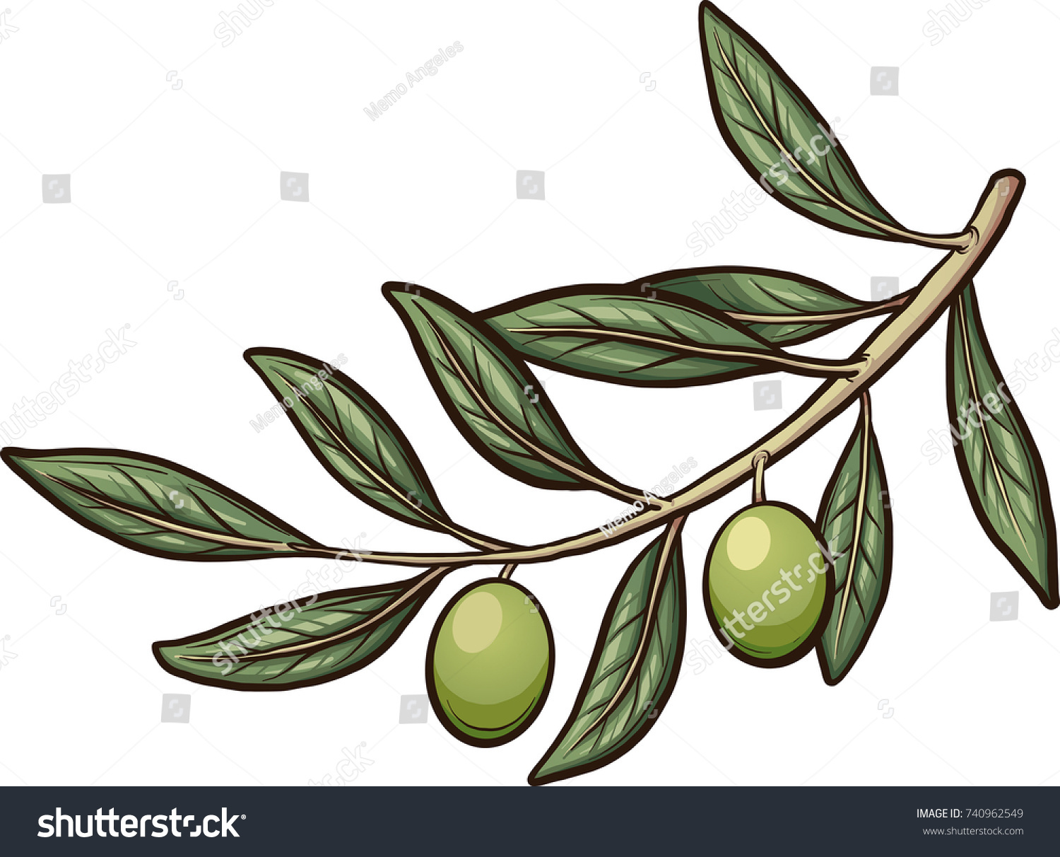 Ветка оливы натуральной с плодами