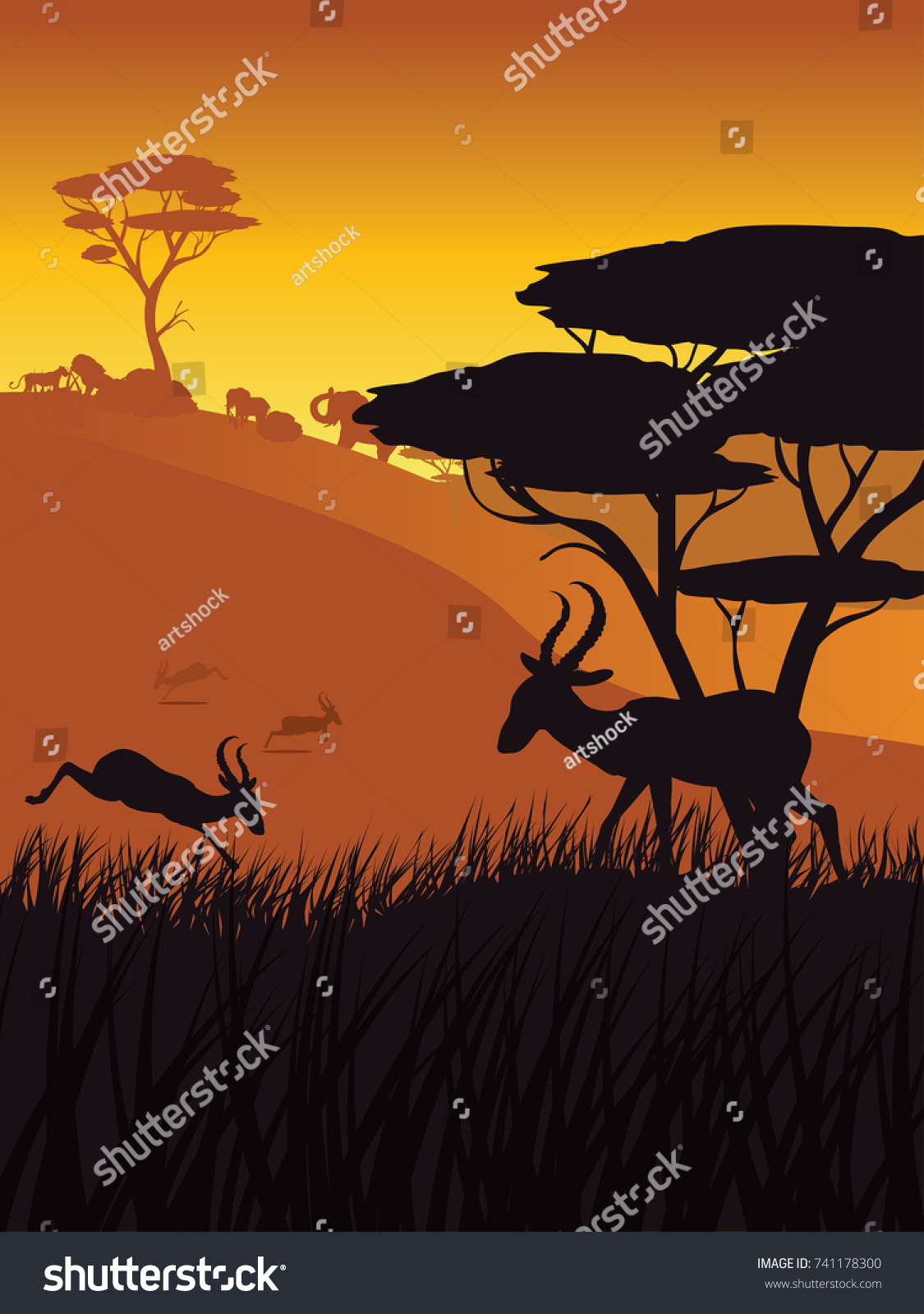 Colorful Sunset Scene African Landscape Silhouette Stock Vector