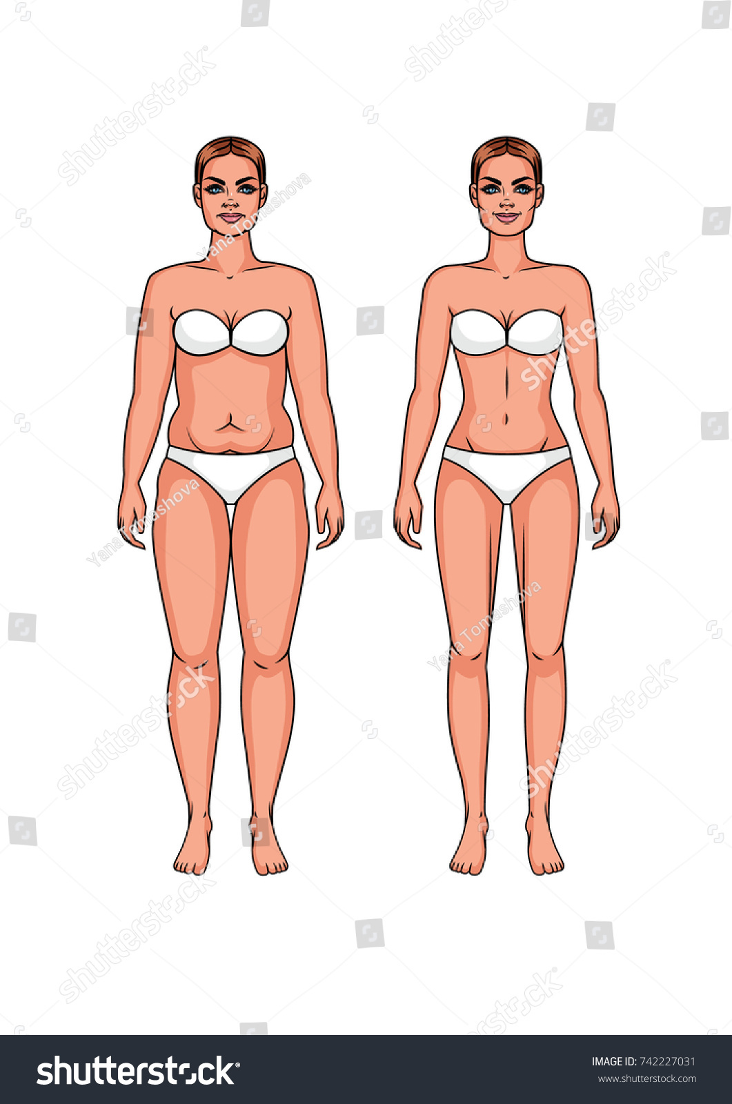 Set Vector Thick Woman Thin Woman : image vectorielle de stock (libre de dr...
