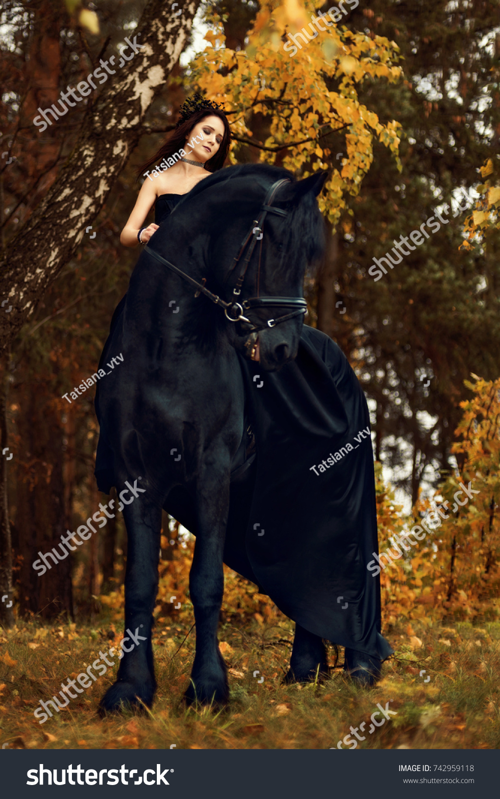 Black Rider Frisian Stallion Autumn Forest Stock Photo 742959118 ...