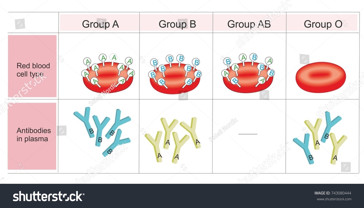 334 Imágenes De Blood Transfusion Chart - Imágenes, Fotos Y Vectores De ...