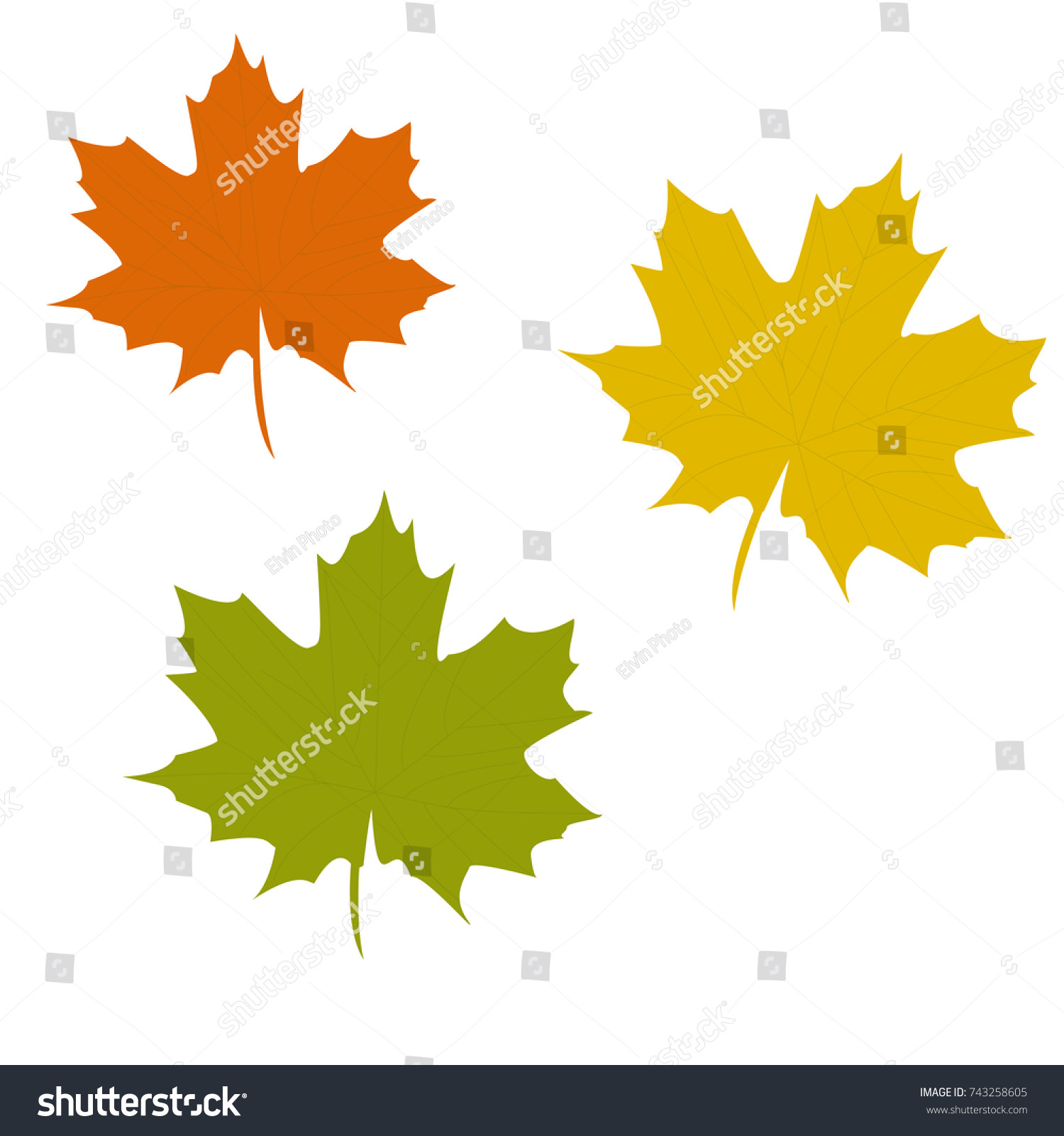 Fall Leaves Vector Set Autumn Season Stock Vector (Royalty Free ...