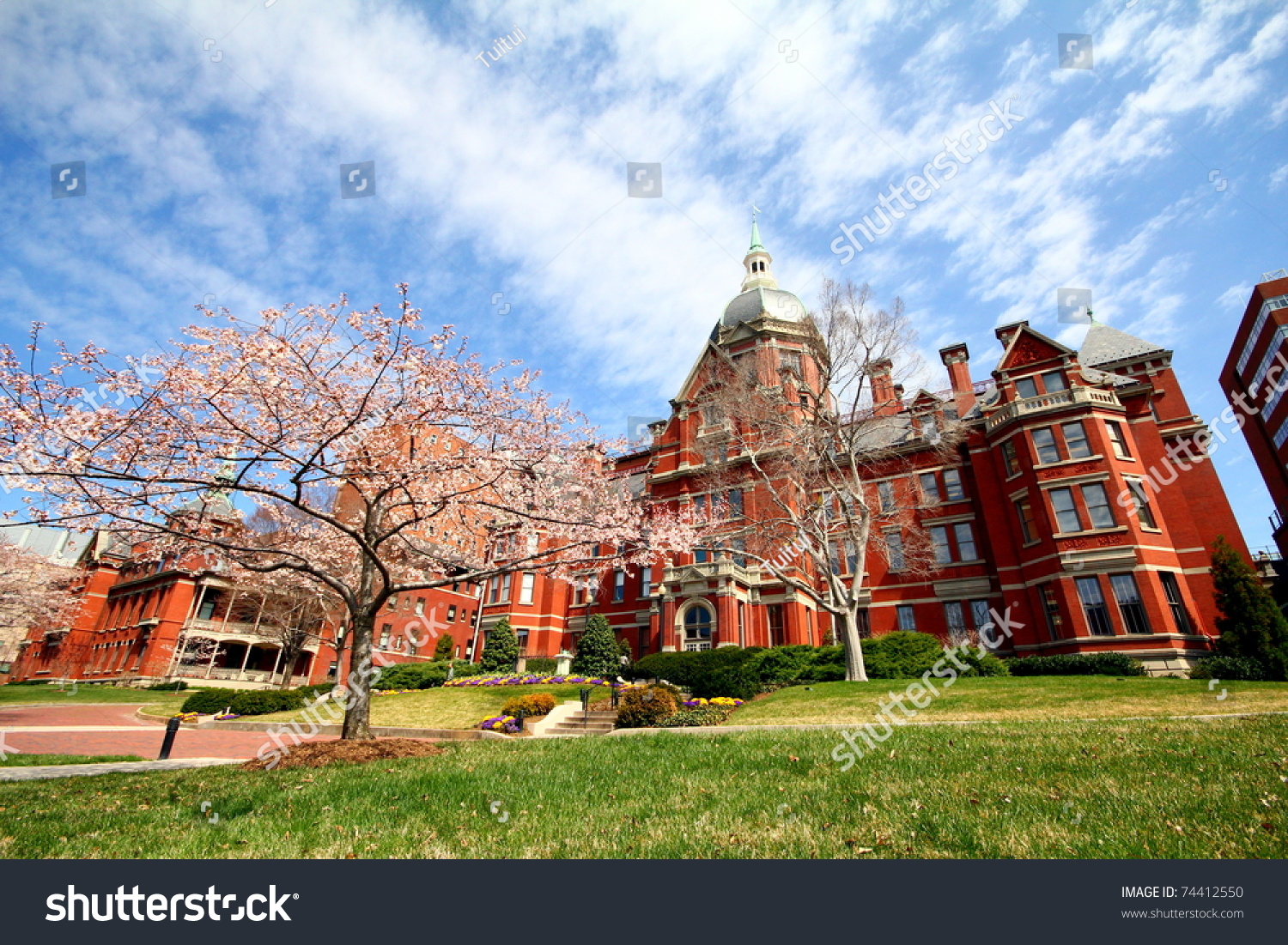 inside johns hopkins hospital