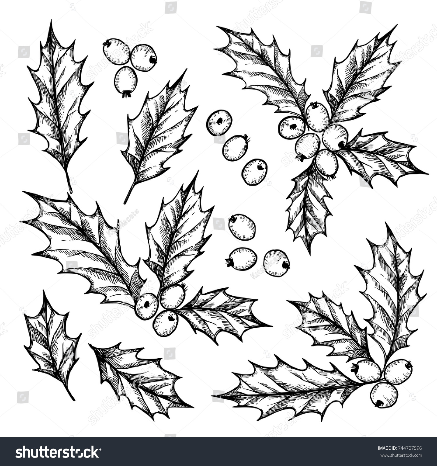 Hand Drawn Vector Illustration Holly Jolly Stock Vector (Royalty Free ...