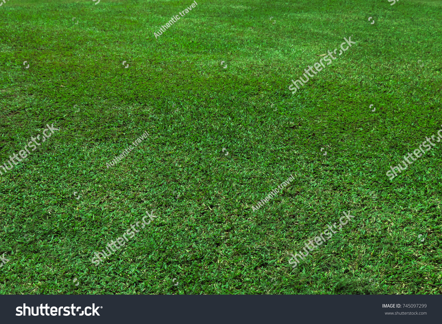 Soft Green Golf Course Texture Grass Stock Photo 745097299 | Shutterstock