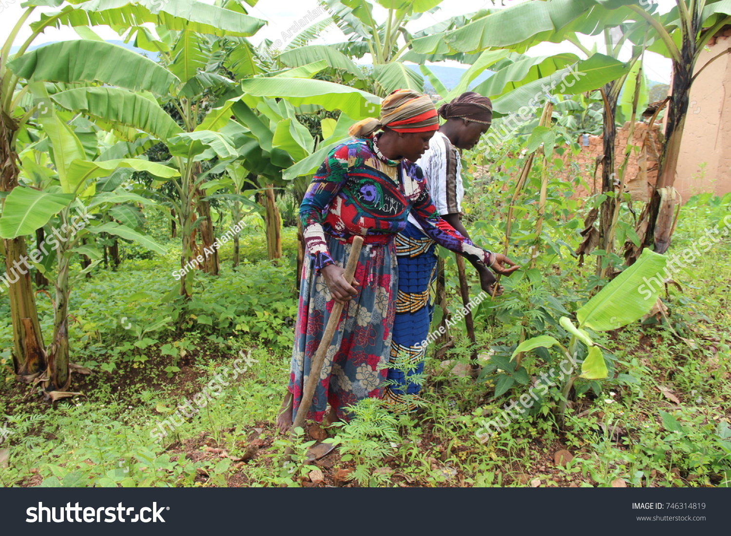 315 imágenes de Rwanda farming - Imágenes, fotos y vectores de stock ...