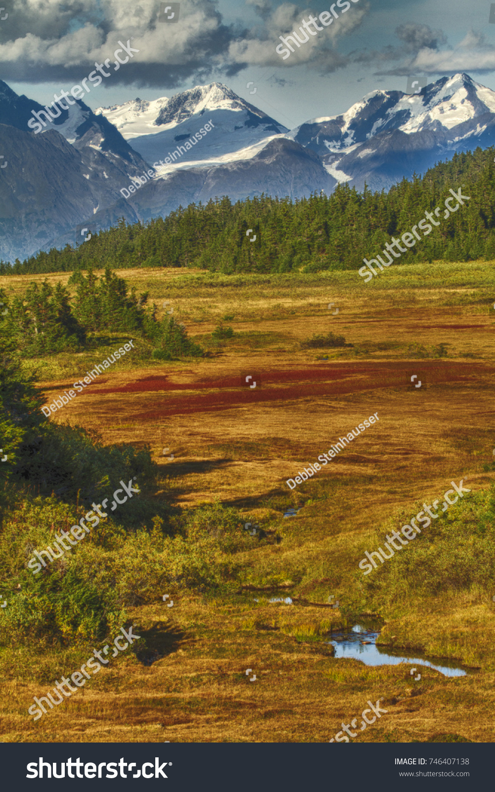 Alaska Fall Showing Colorful Tundra Stock Photo 746407138 | Shutterstock