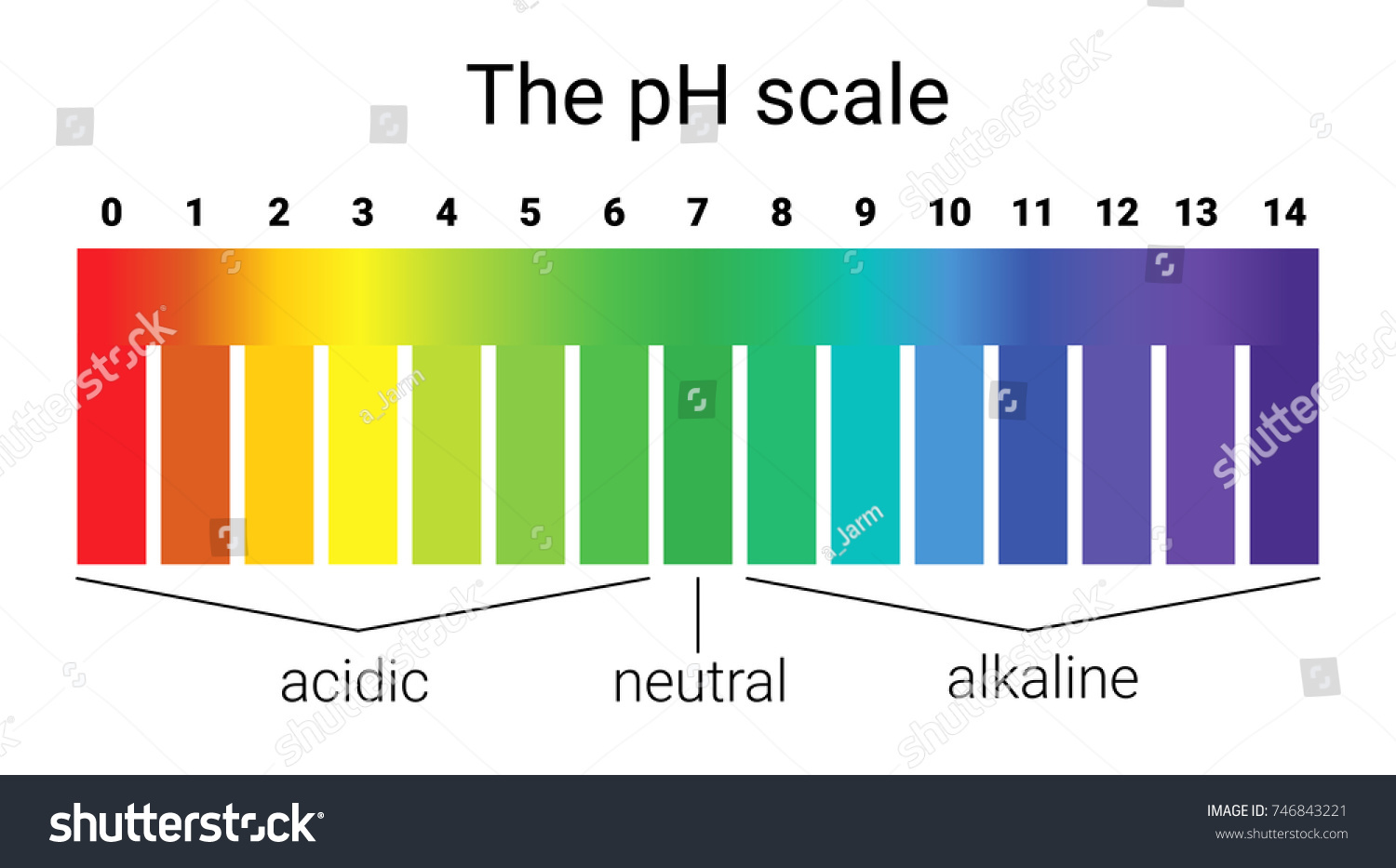 Ph Scale Infographic Acidbase Balance Scale Stock Vector (Royalty Free ...