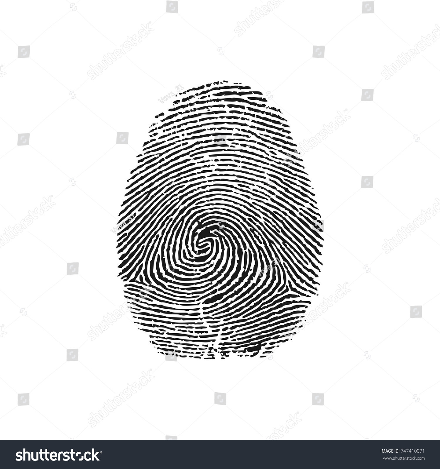 Vector Illustration Magnifying Glass Over Fingerprint Stock Vector ...