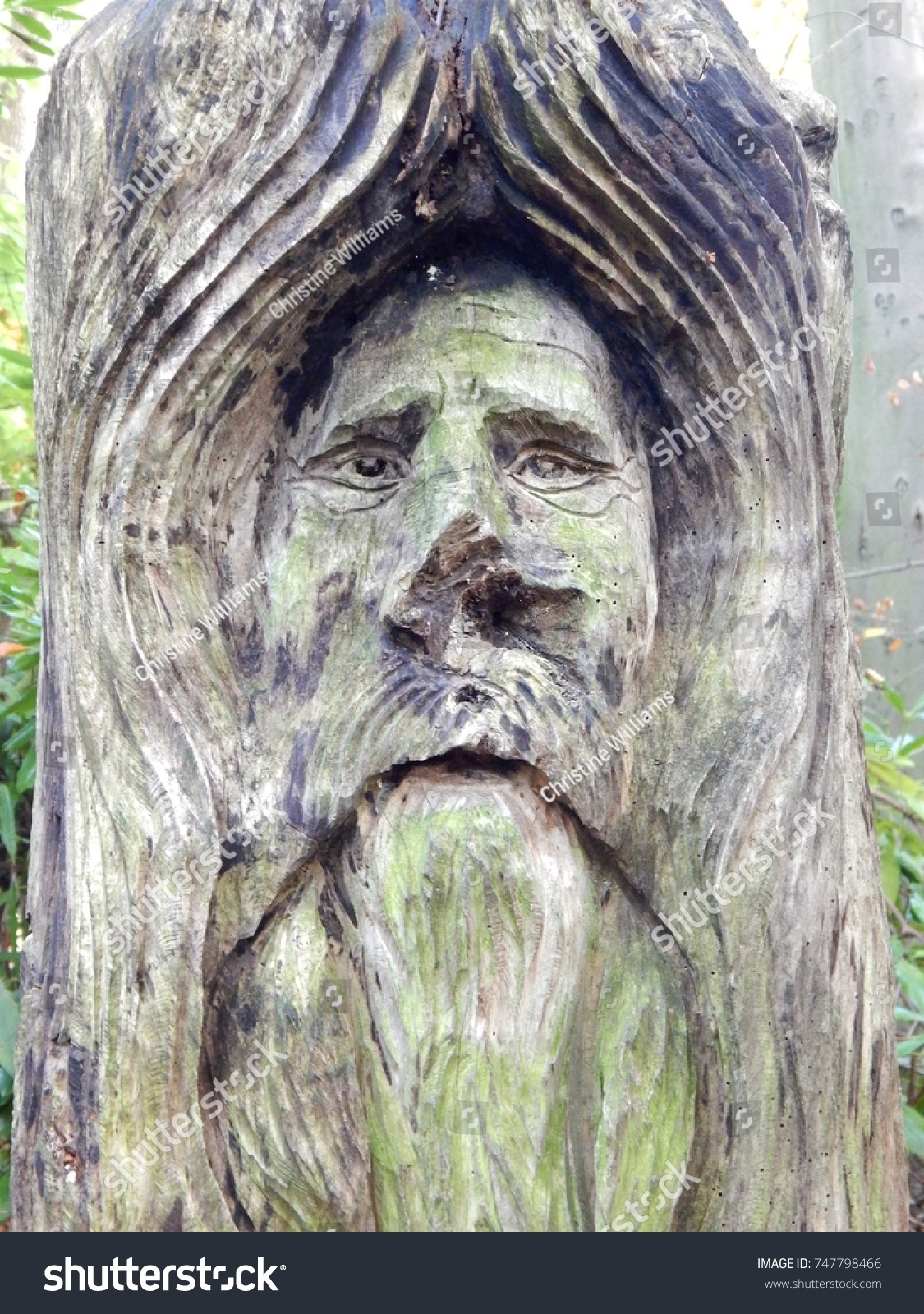 Old Man Tree Tree Carving Old Stock Photo 747798466 | Shutterstock