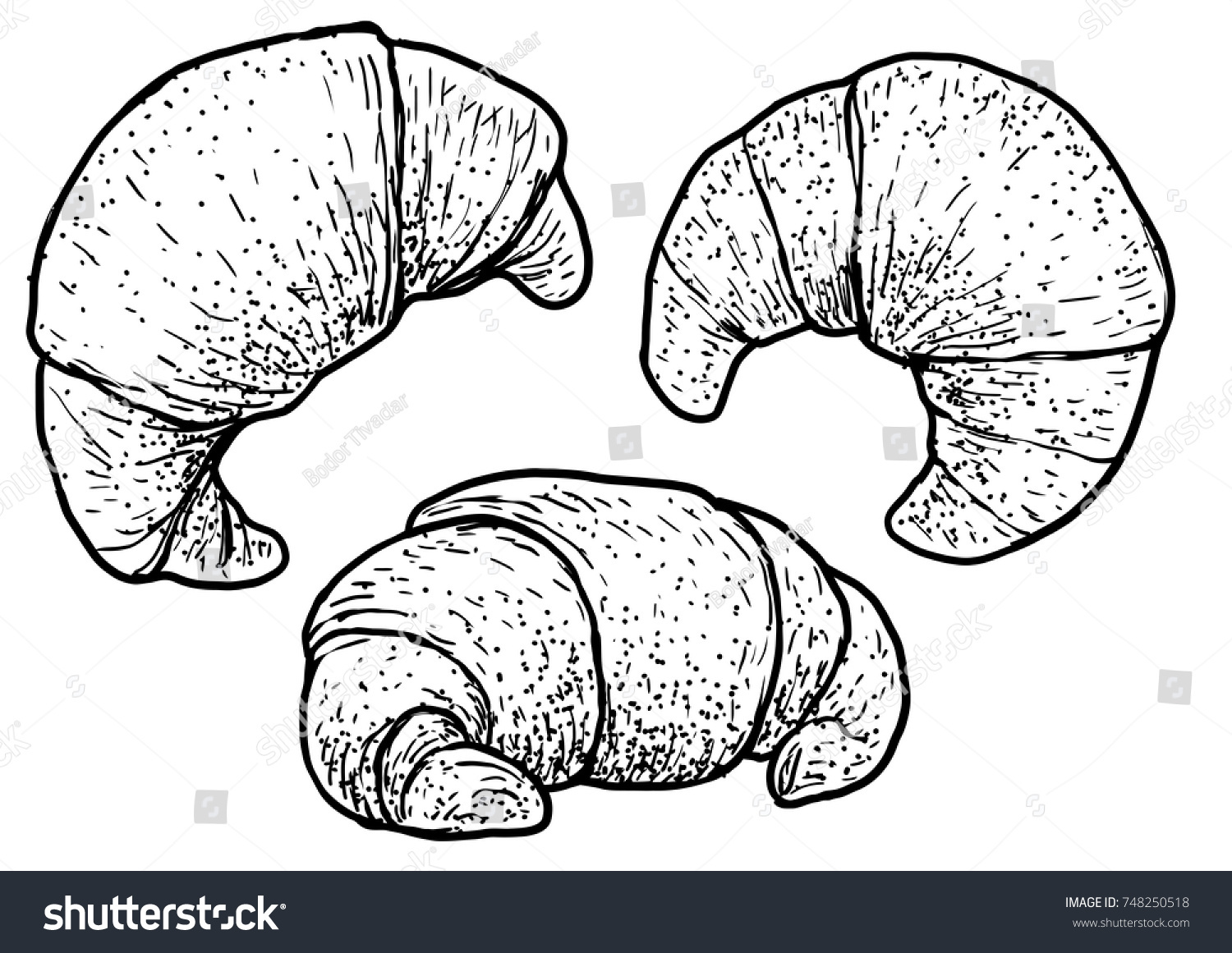 Croissant Illustration Drawing Engraving Ink Line Stock Vector (Royalty ...