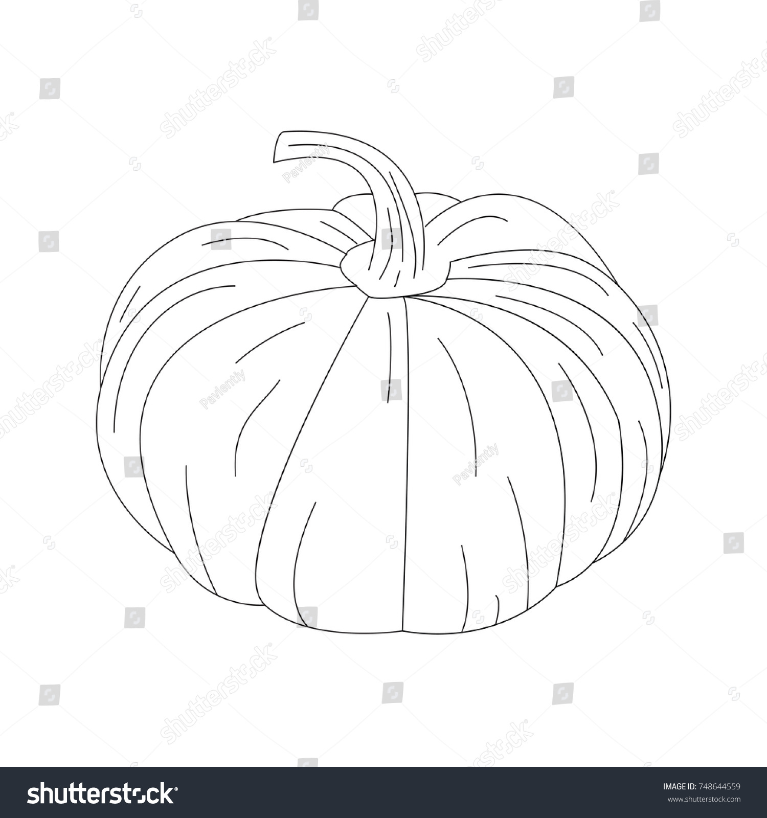 Vector Illustration Pumpkin Isolated Black Outlines Stock Vector ...