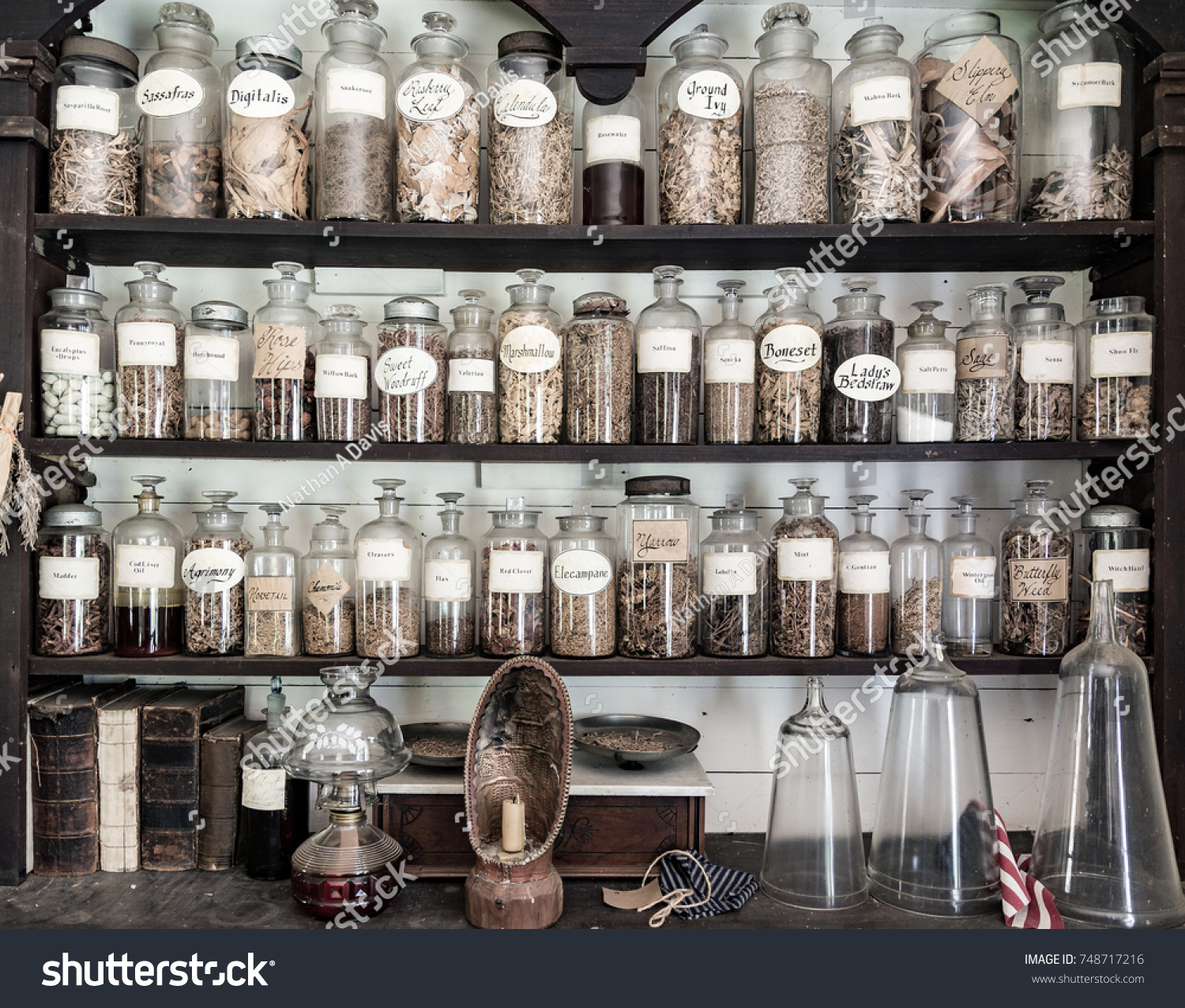 7,352 Apothecary shelves 이미지, 스톡 사진 및 벡터 | Shutterstock