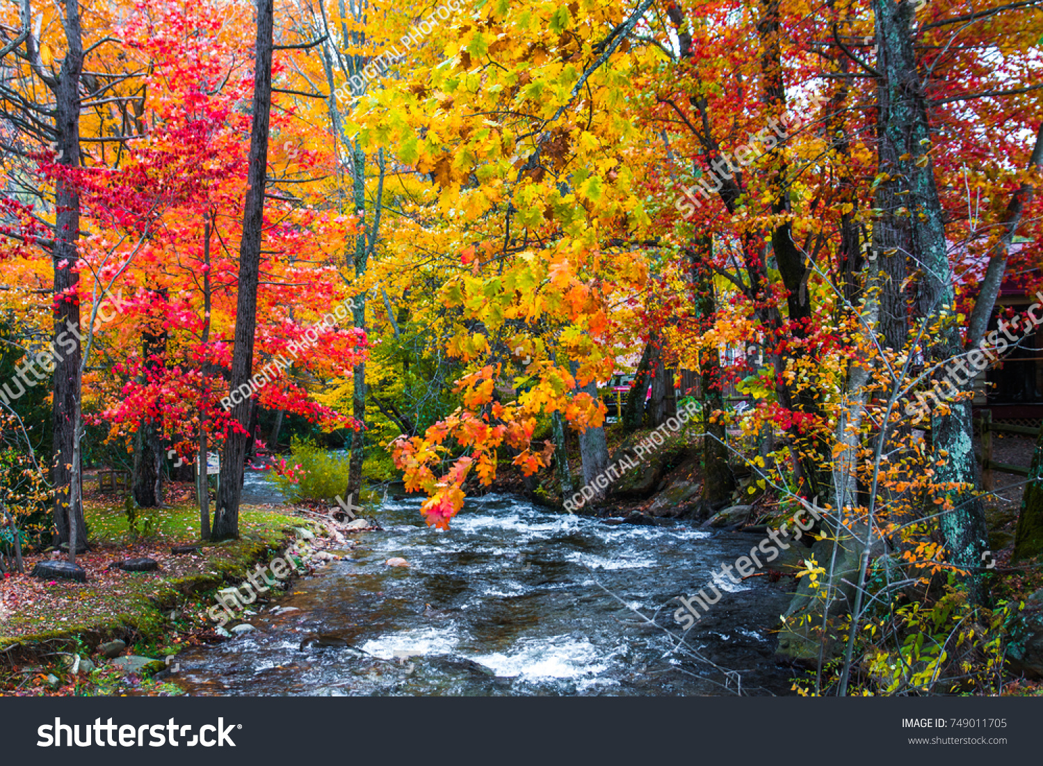 Blue Ridge Fall Foliage Stock Photo 749011705 | Shutterstock