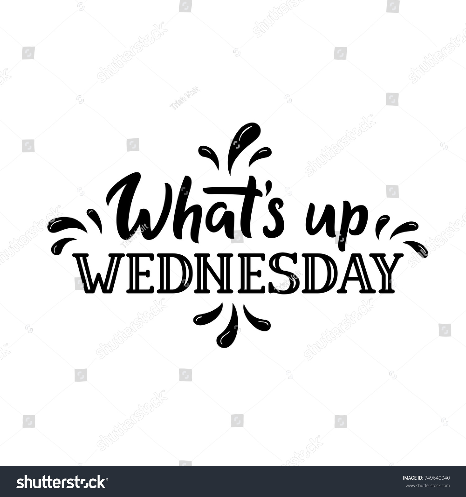 Whats Wednesday Days Week Hand Drawn Stock Vector (Royalty Free ...