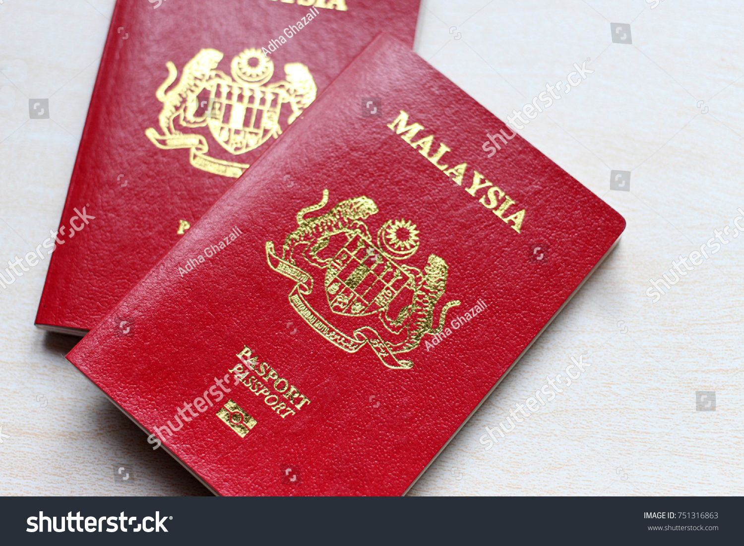 паспорт индонезии