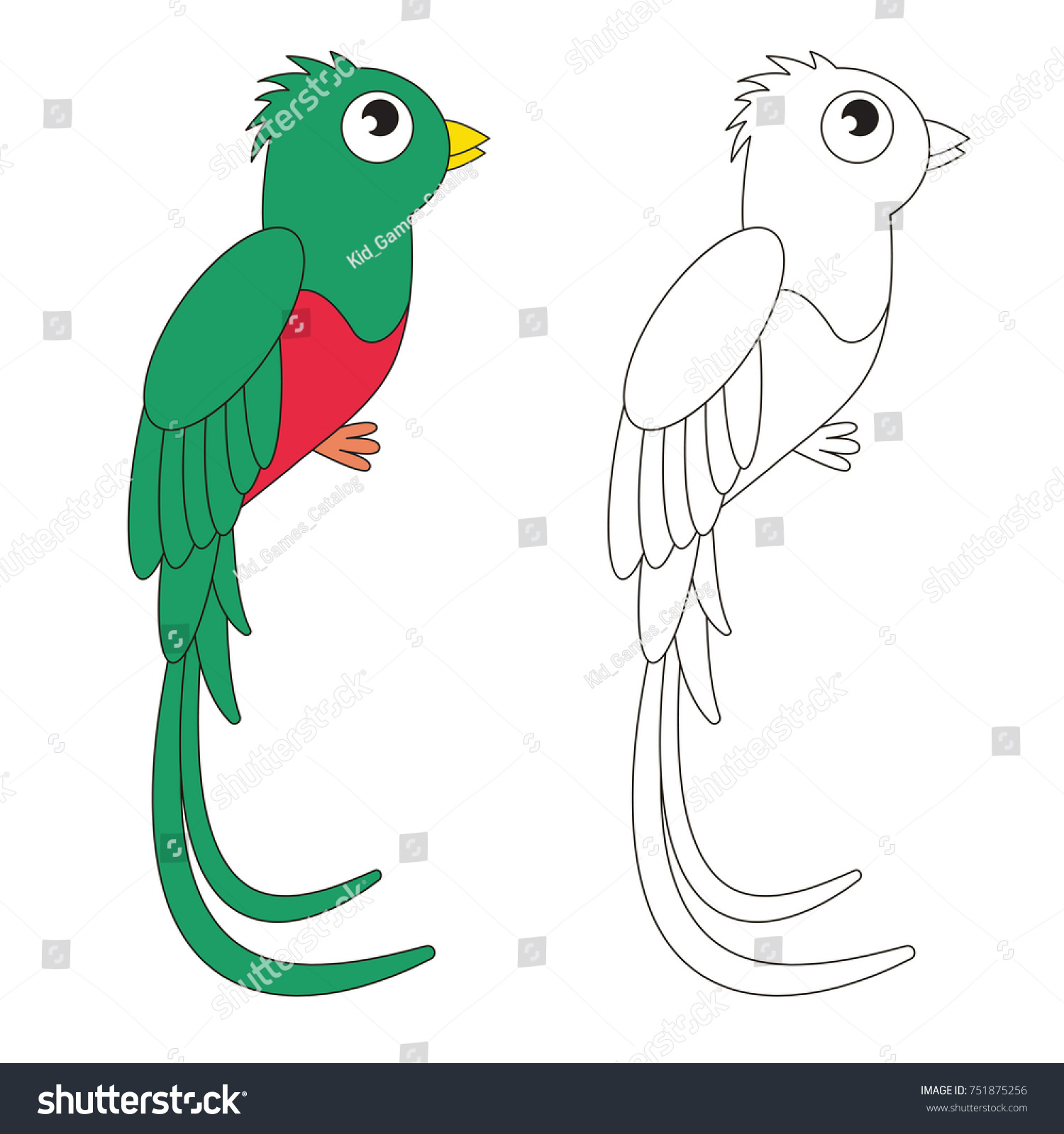 Quetzal Beautiful Green Bird Cartoon Outlined: stockvector (