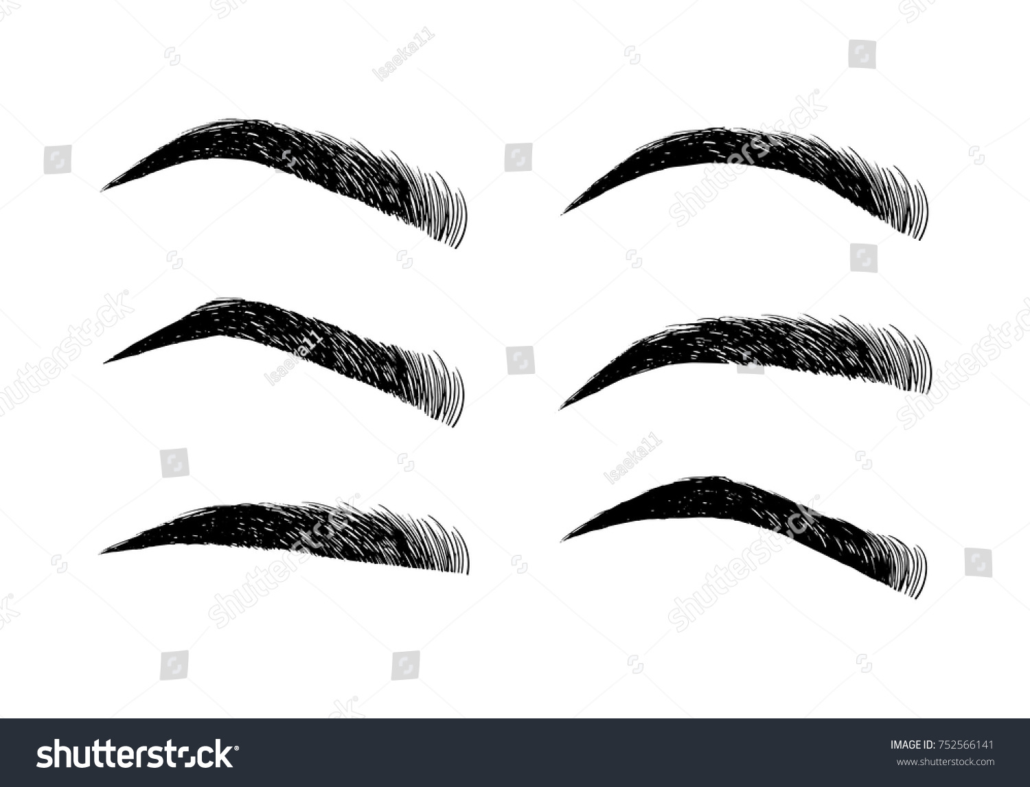 Eyebrow Shapes Various Types Eyebrows Classic Stock Vector (Royalty ...