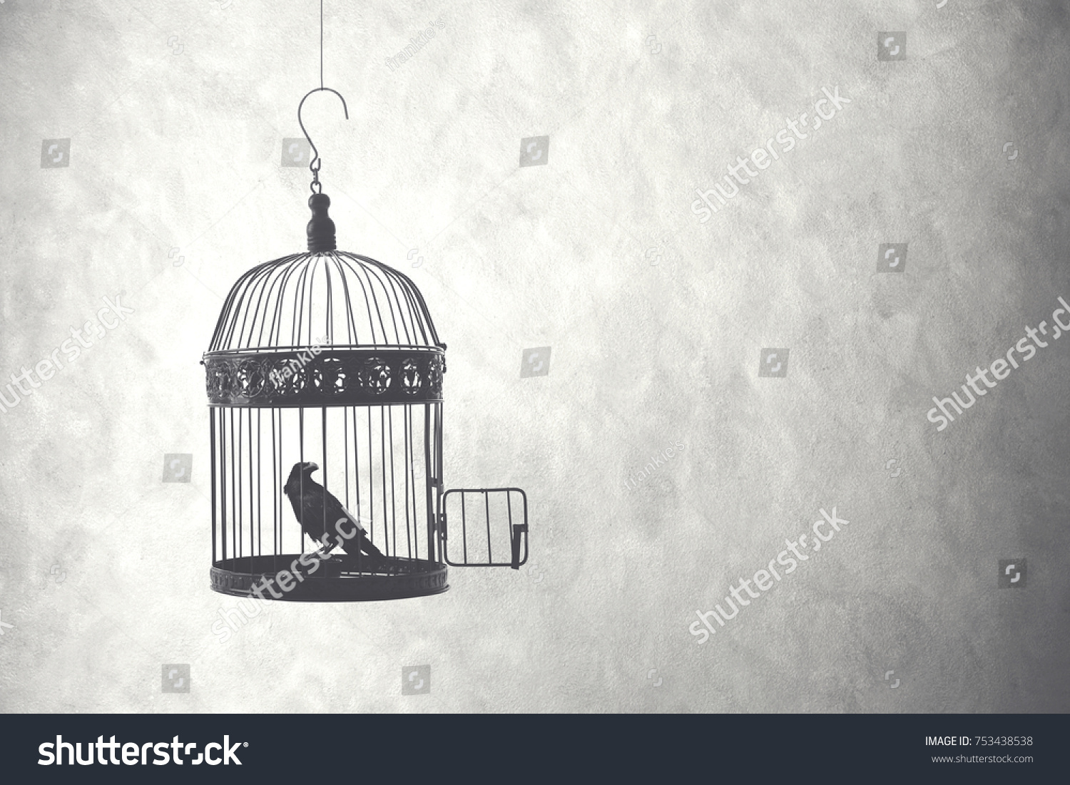 Freedom Concept Bird Open Cage Stock Photo 753438538 | Shutterstock