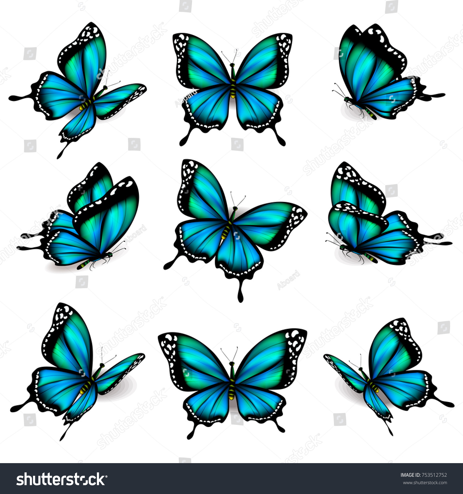 Beautiful Blue Butterflies Isolated On White Stock Vector (Royalty Free ...