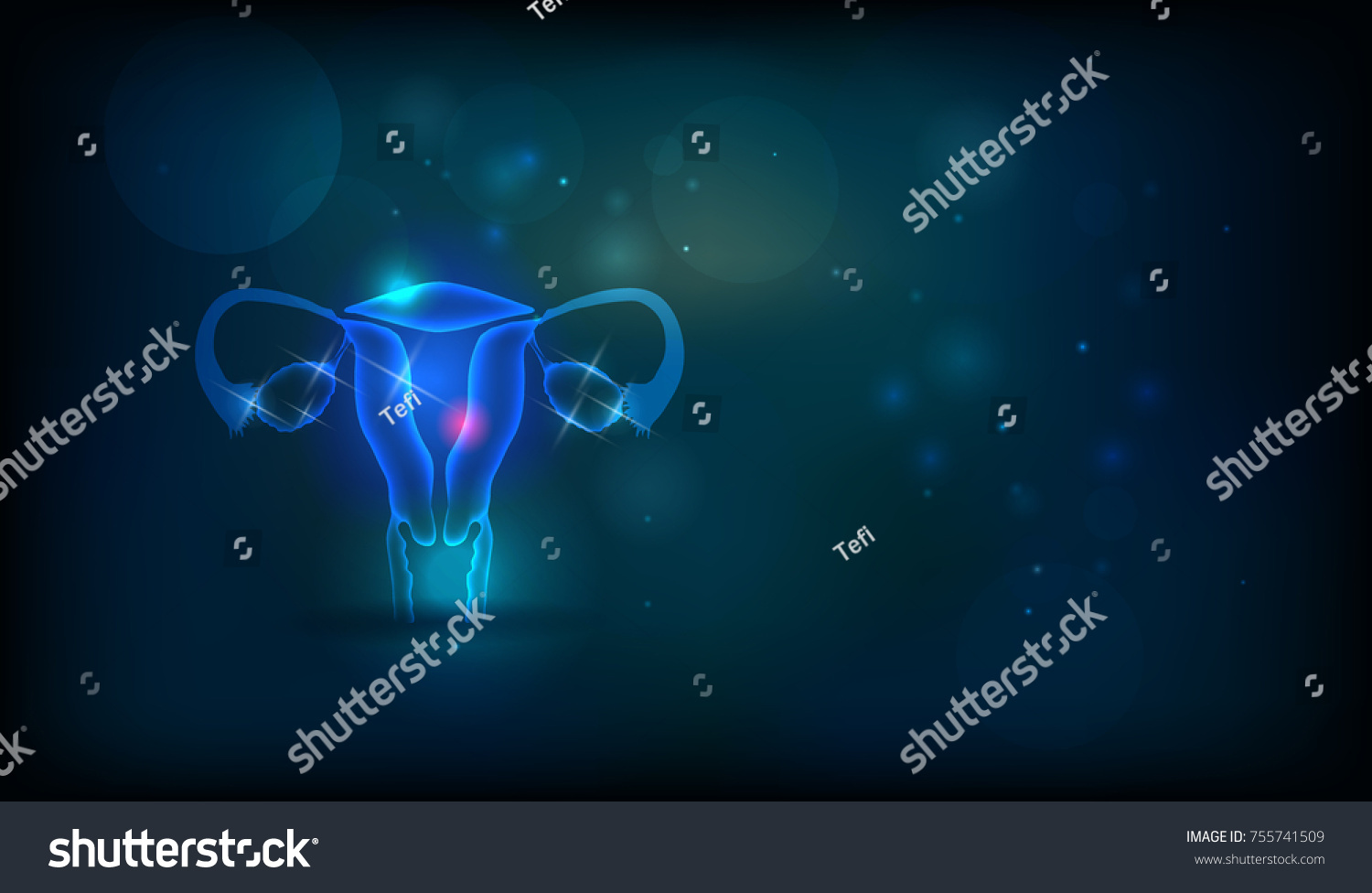 Female Uterus Ovaries Health Abstract Dark Stock Illustration 755741509 ...