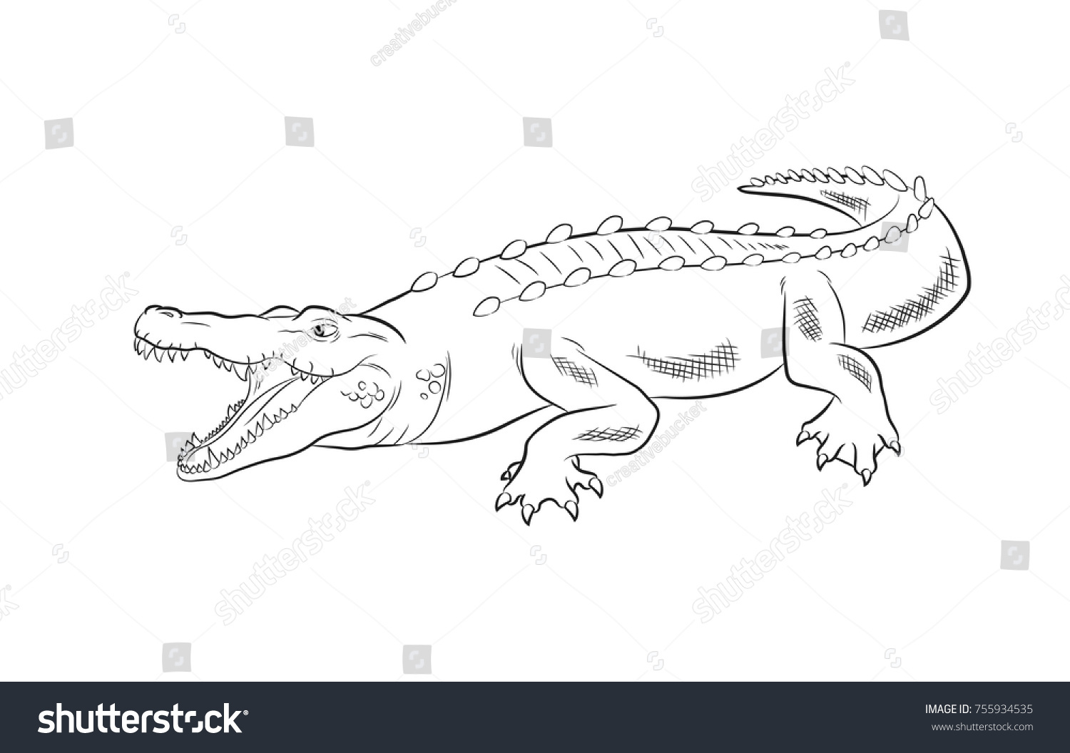 Пасть крокодила карандашом
