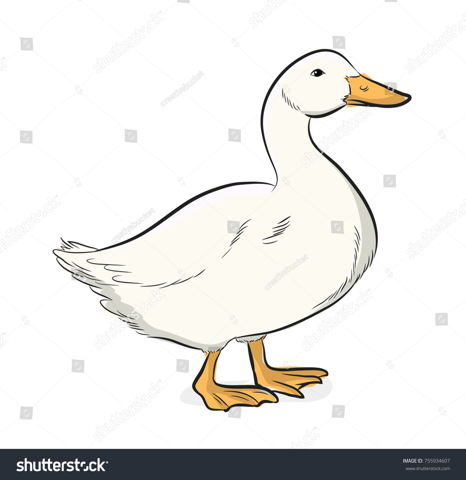 Cartoon Duck Vector Illustration Stock Vector (Royalty Free) 755934607 ...