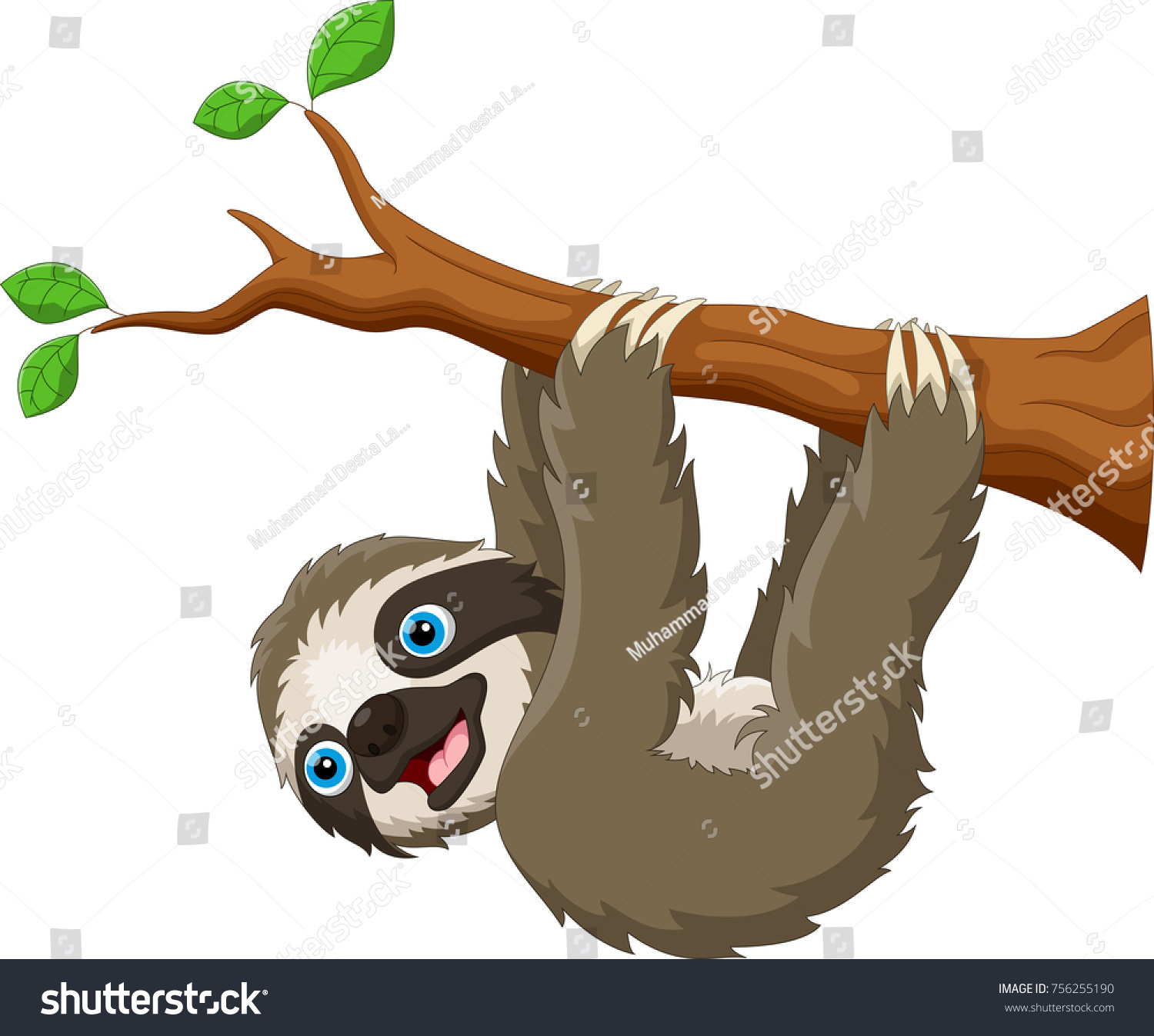 Ленивец на дереве рисунок