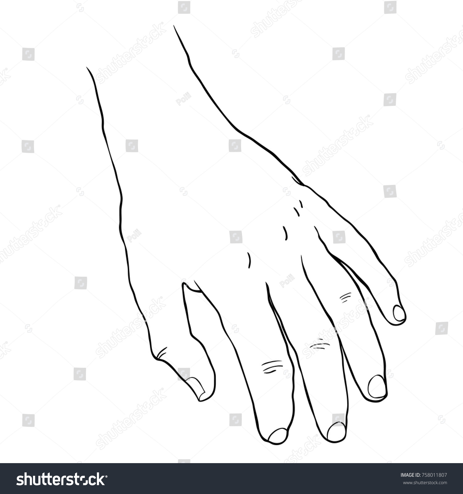 Mans Hand Palm Down Vector Illustration Stock Vector (Royalty Free ...