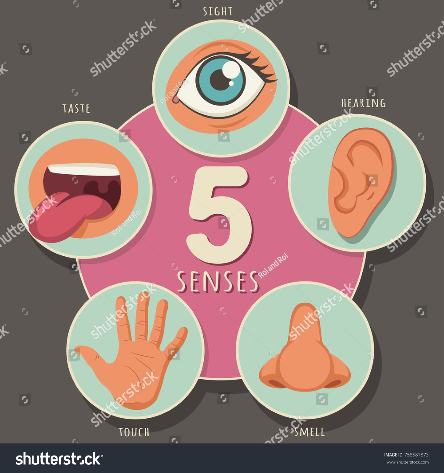 Five Senses Human Sight Hearing Smell Stock Vector (Royalty Free ...