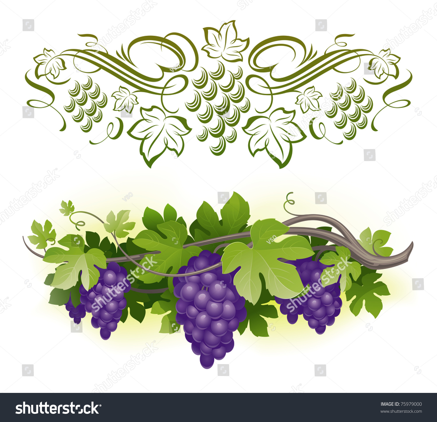 Виньетка виноград