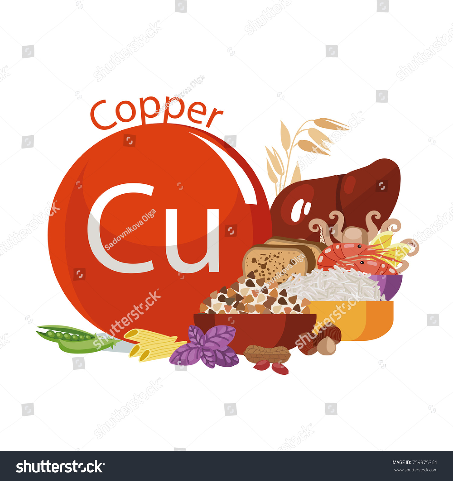 Copper Food Sources Food Products Maximum Stock Vector (Royalty Free ...