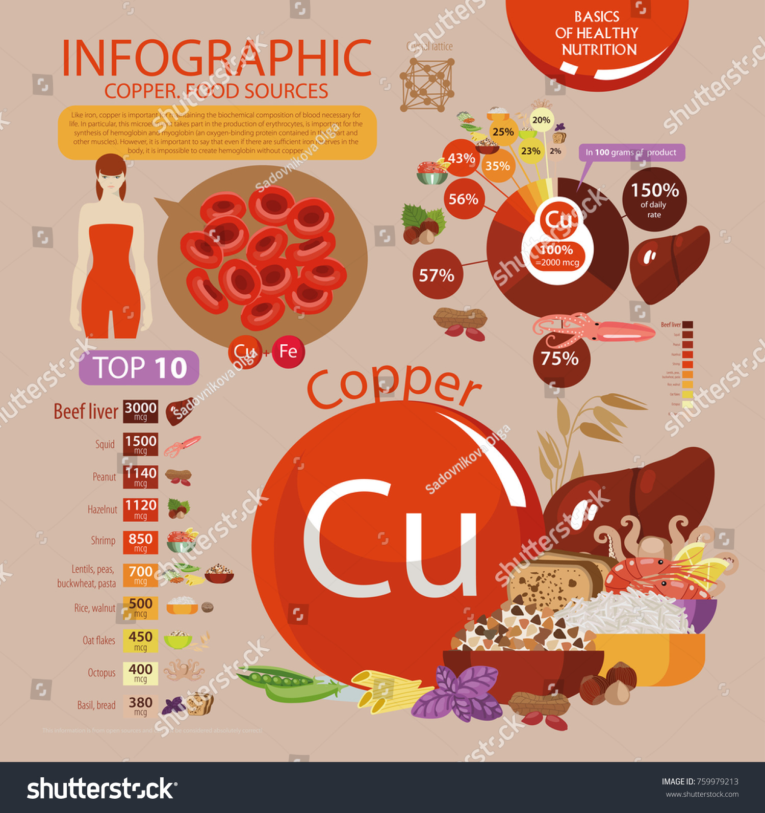 Infographics Copper Food Sources Foods Maximum Stock Vector (Royalty ...