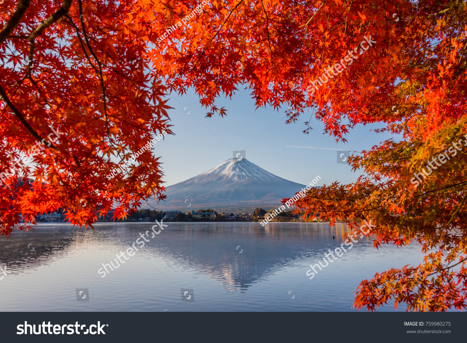 Mount Fuji Autumn Mount Fuji Japan Stock Photo 759980275 | Shutterstock