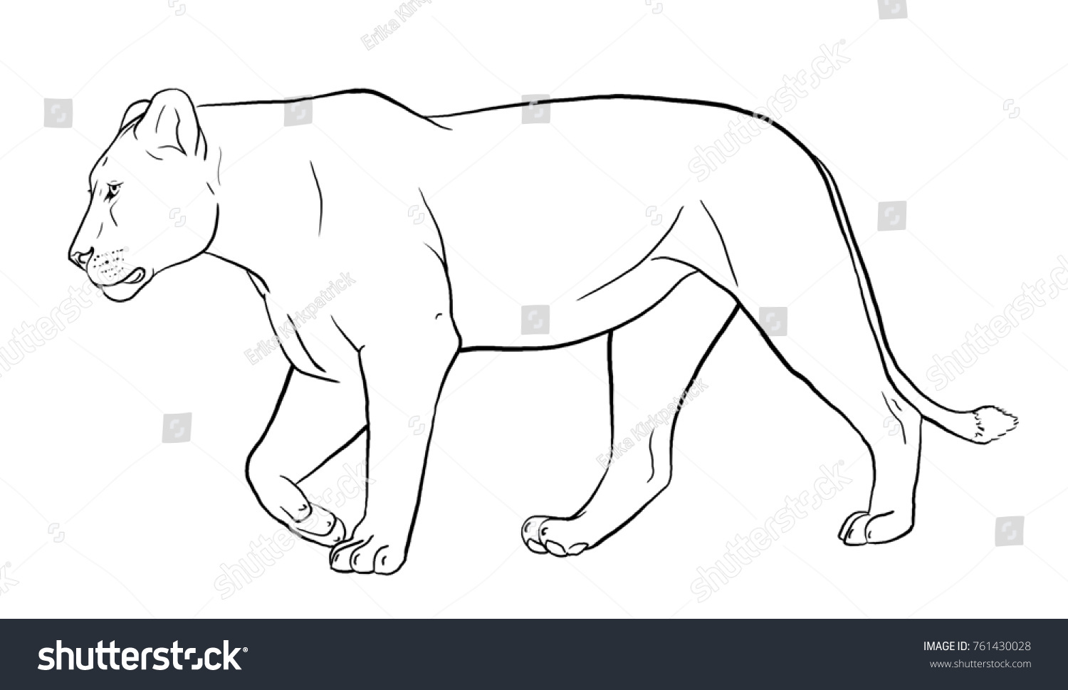 Lioness Lineart Coloring Page Stock Illustration 761430028 | Shutterstock