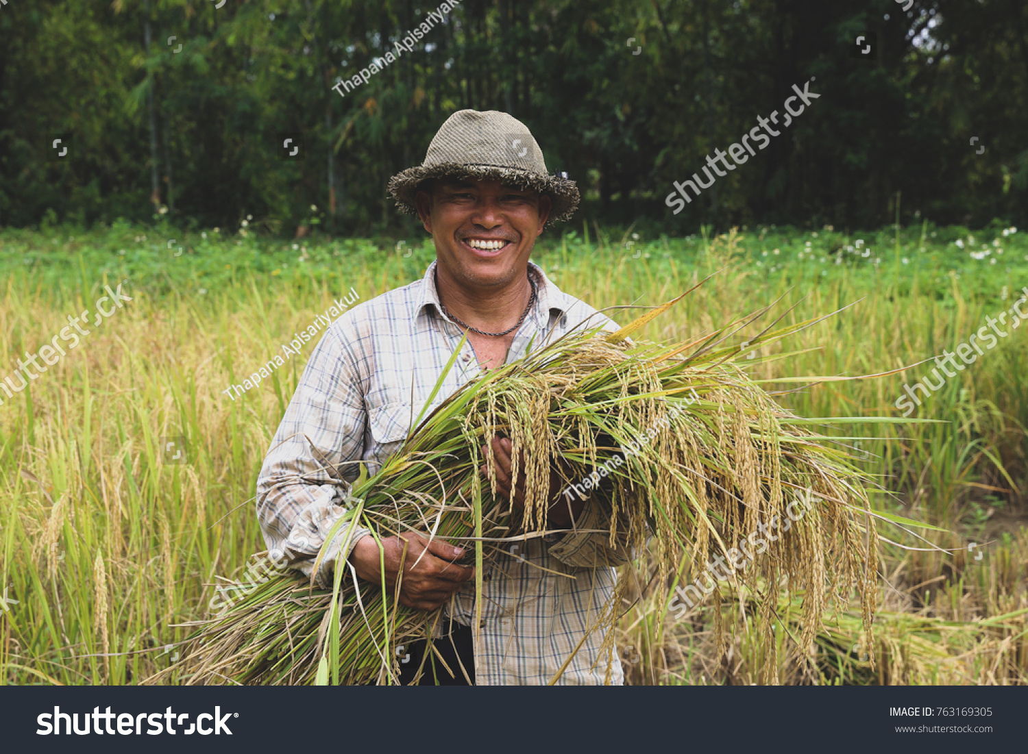 Happy Thai Farmer Smile After Rice Stock Photo 763169305 | Shutterstock