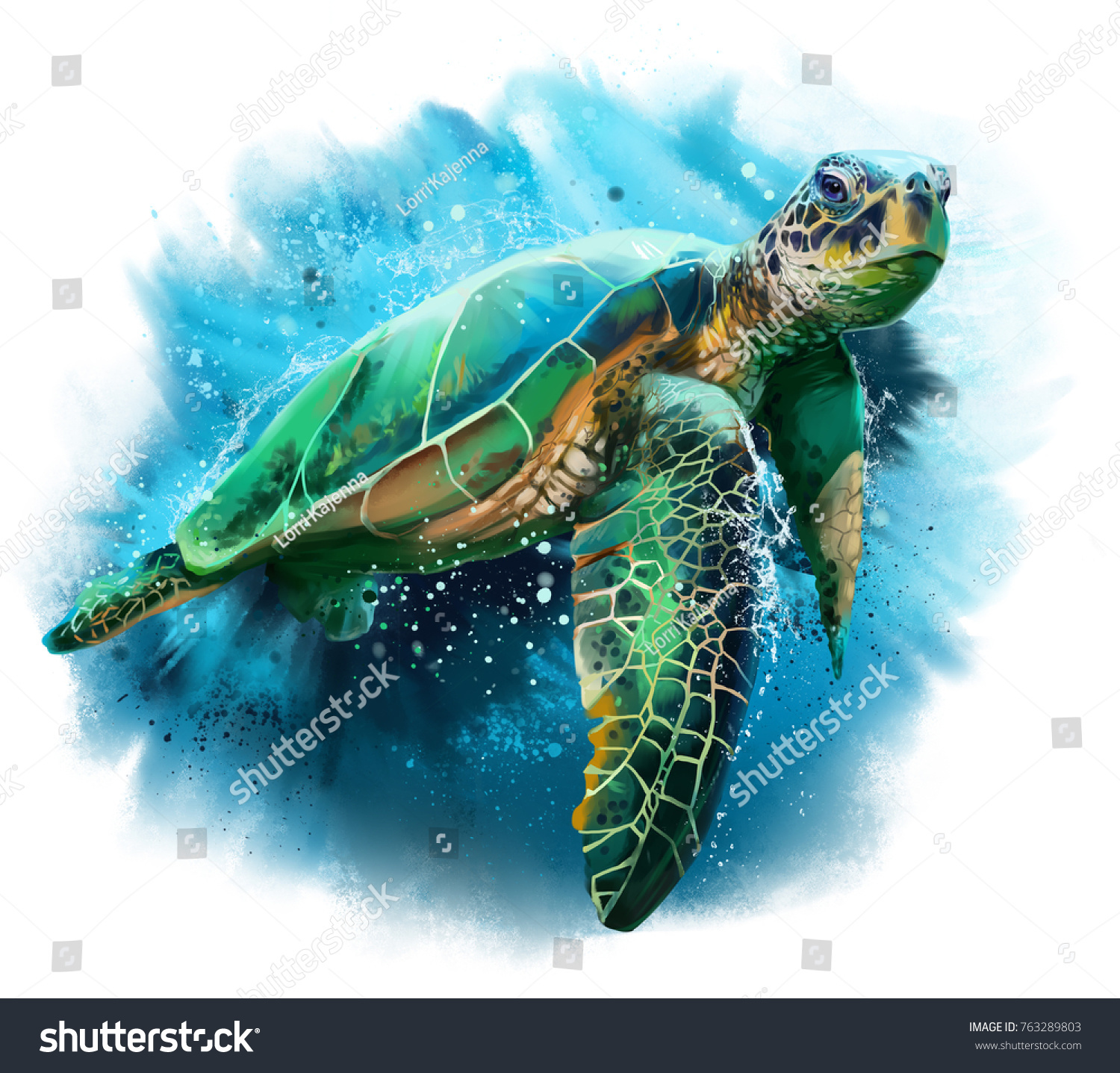 52,976 Sea Turtle Stock Illustrations, Images & Vectors | Shutterstock